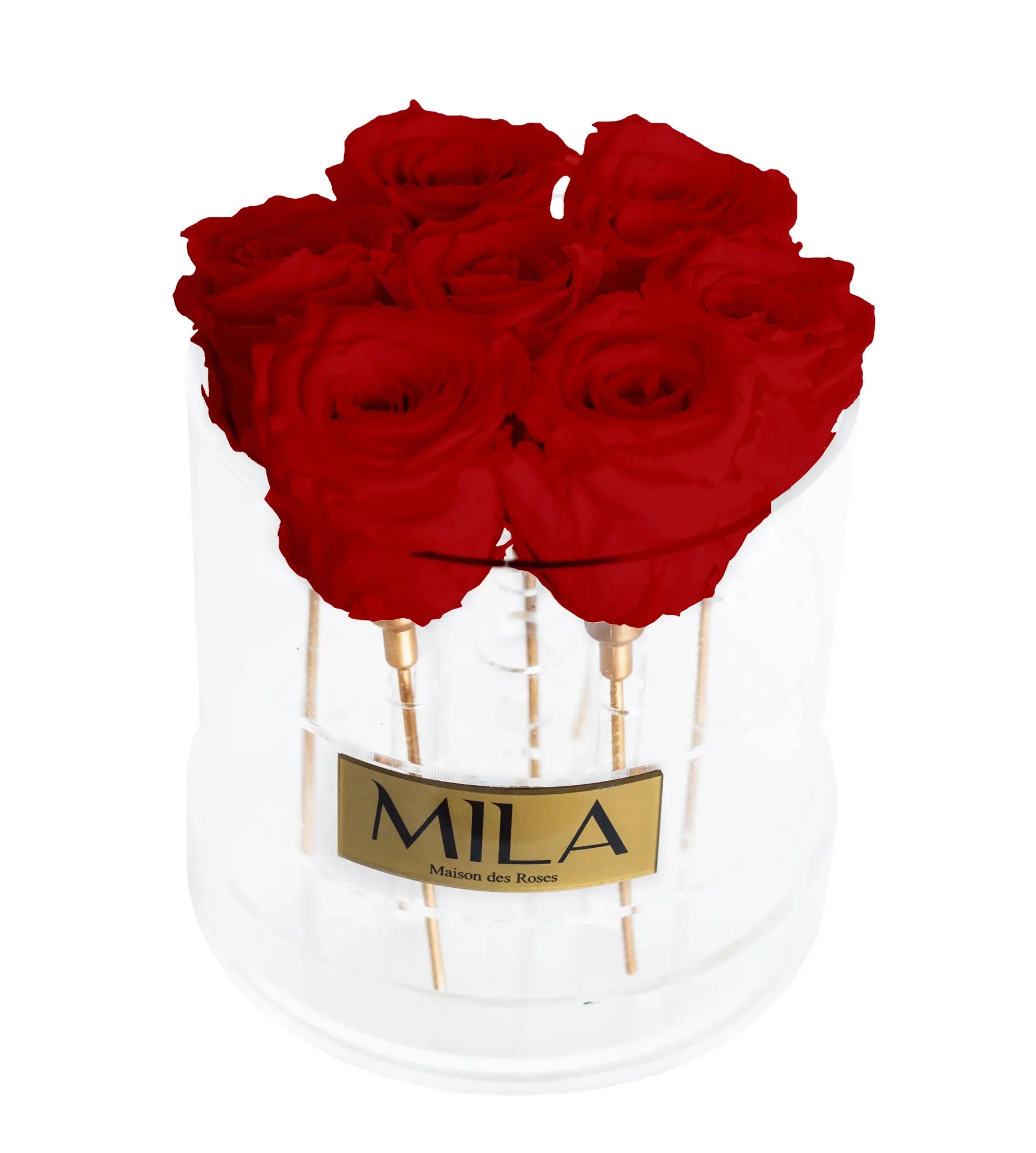Mila Acrylic Round - Mila Rose
