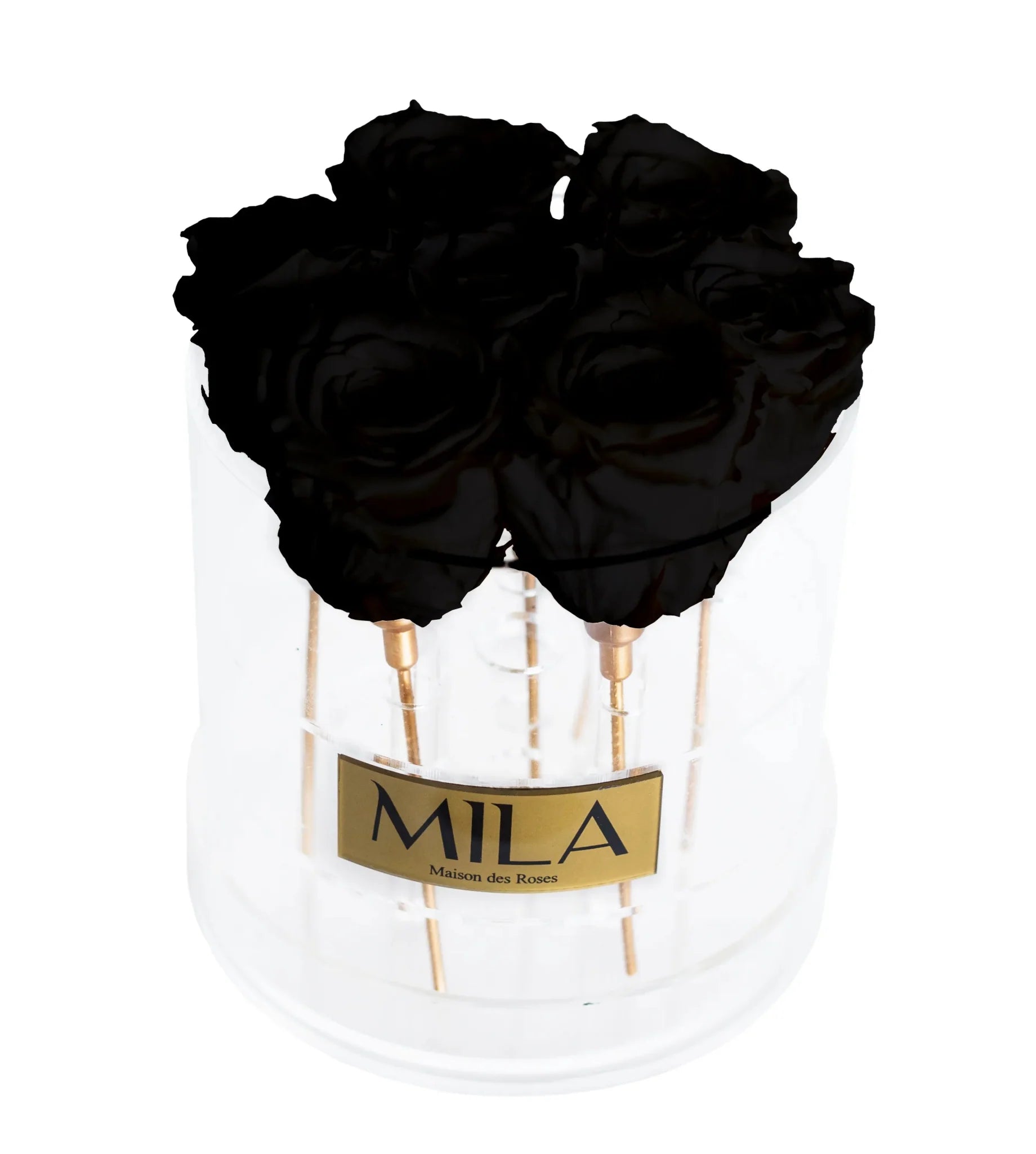 Mila Acrylic Round - Mila Rose