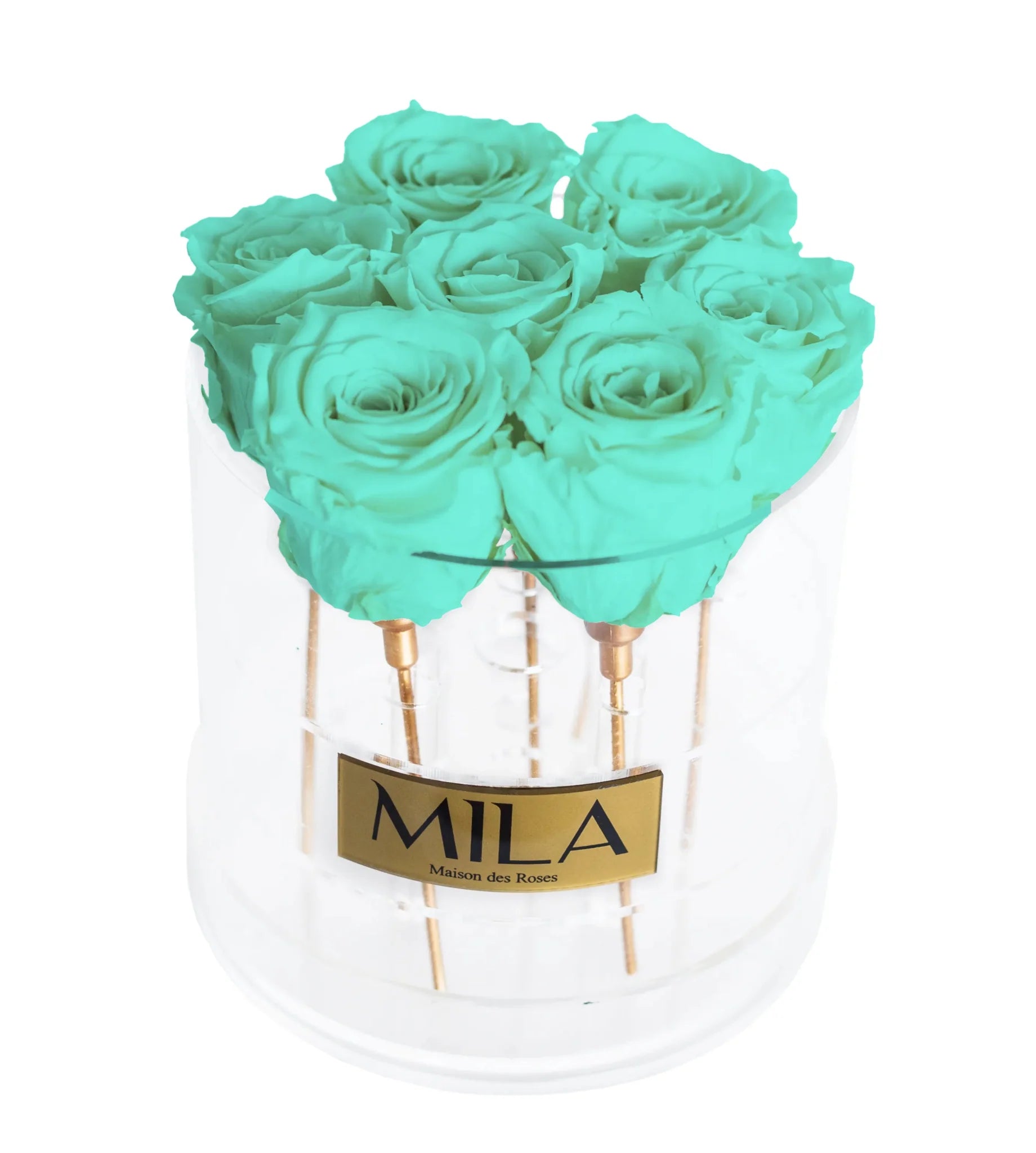 Mila Acrylic Round - Mila Rose