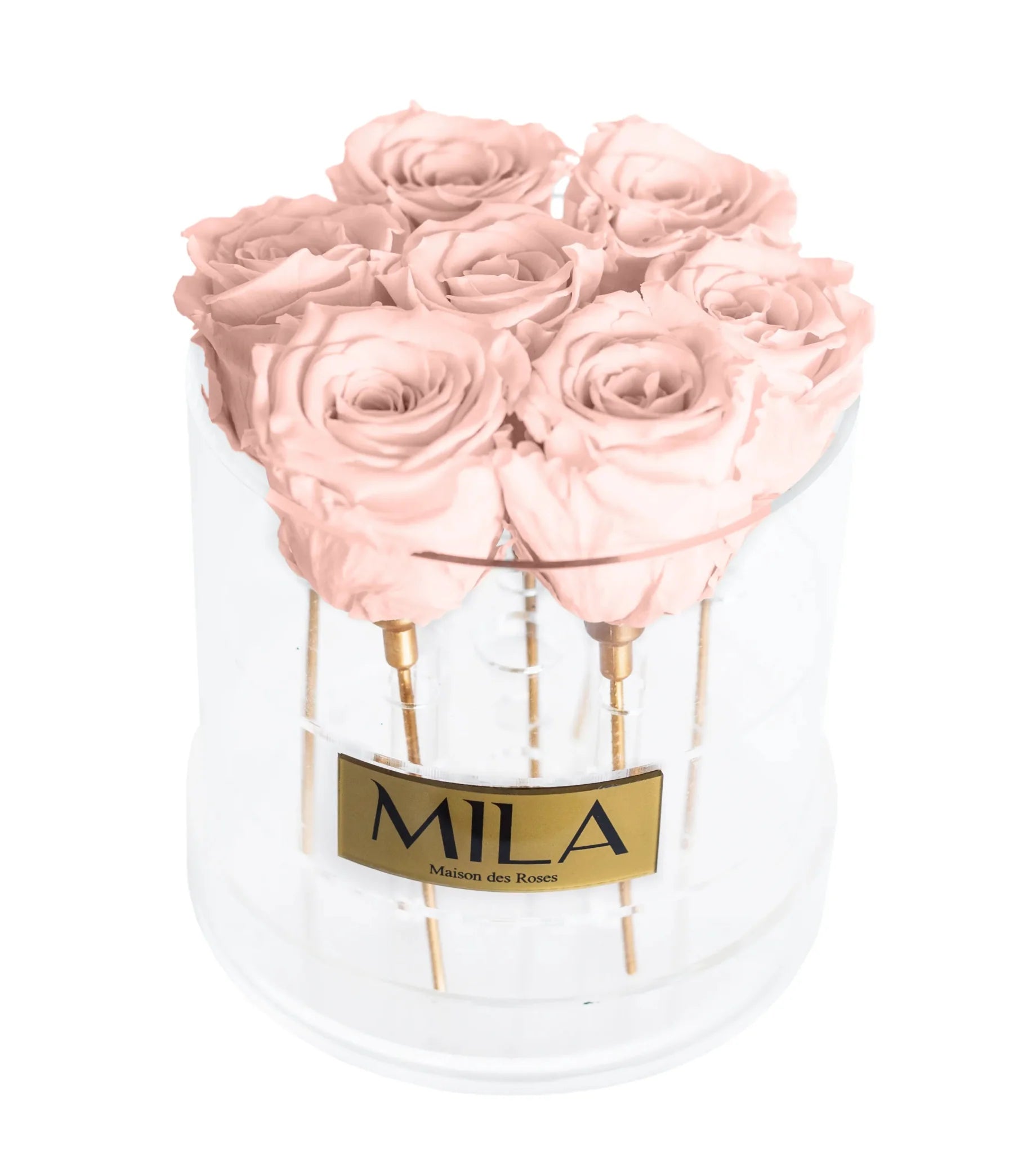 Mila Acrylic Round - Mila Rose