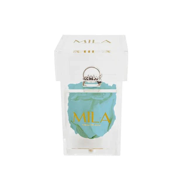 Mila Acrylic Single Ring - Mila Rose