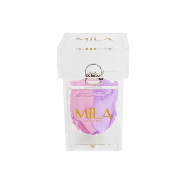 Mila Acrylic Single Ring - Mila Rose