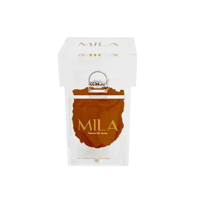 Mila Acrylic Single Ring - Mila Rose