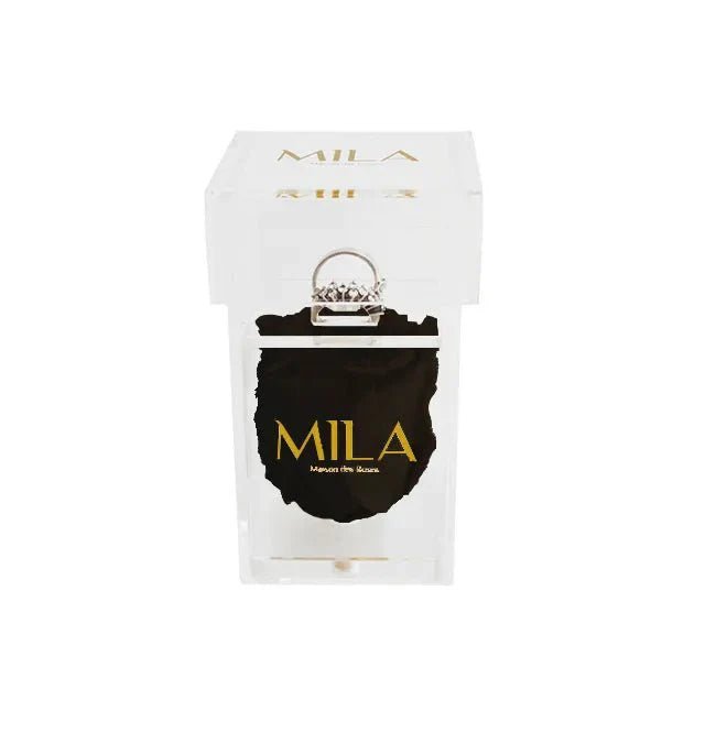 Mila Acrylic Single Ring - Mila Rose