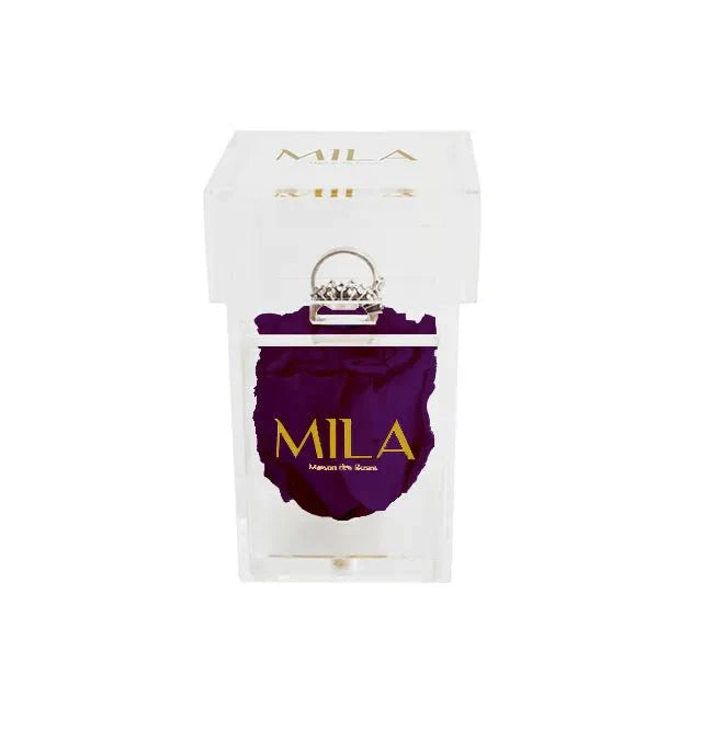 Mila Acrylic Single Ring - Mila Rose