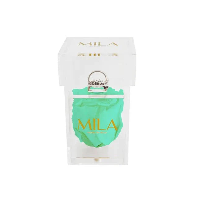 Mila Acrylic Single Ring - Mila Rose