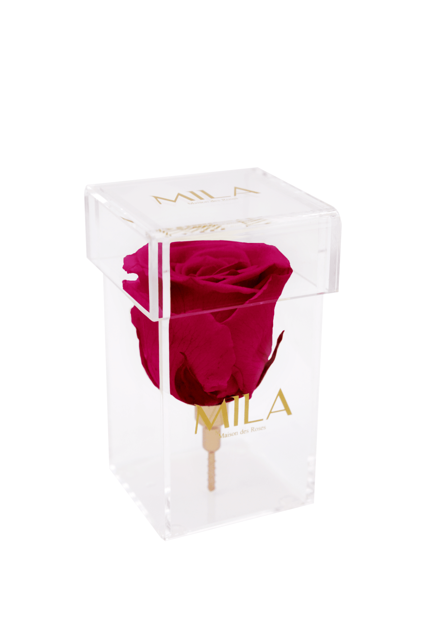 Mila Acrylic Single Stem - Mila Rose