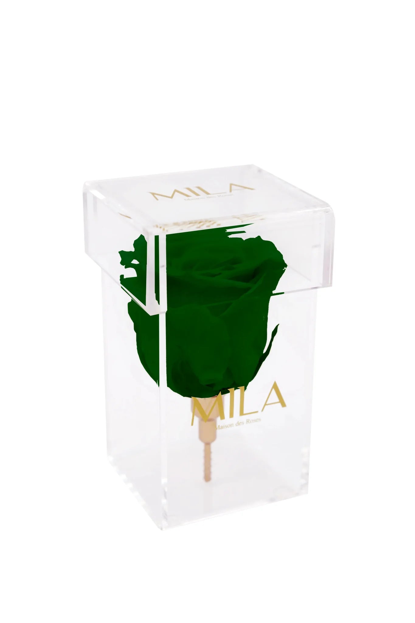 Mila Acrylic Single Stem - Mila Rose