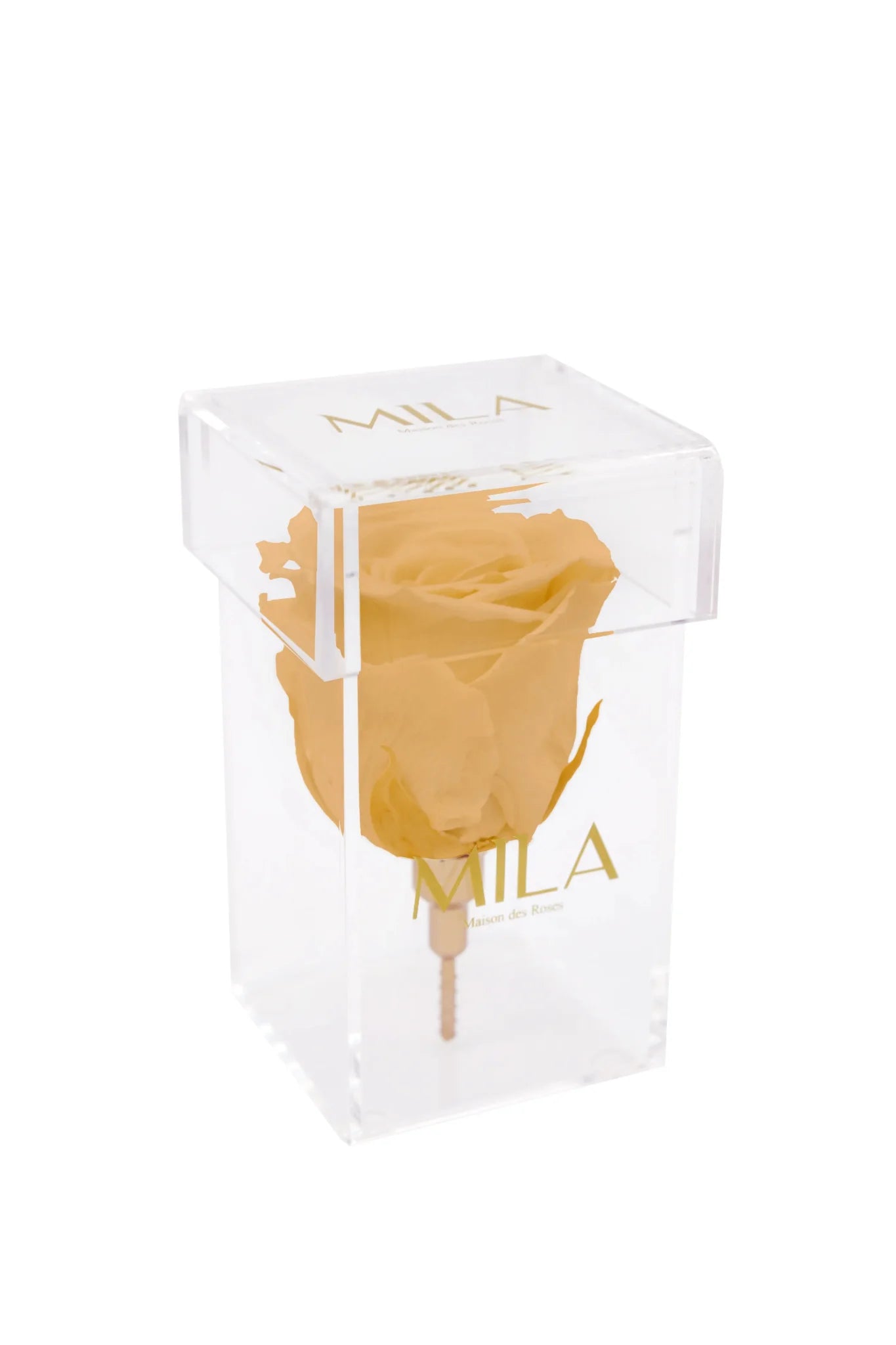 Mila Acrylic Single Stem - Mila Rose