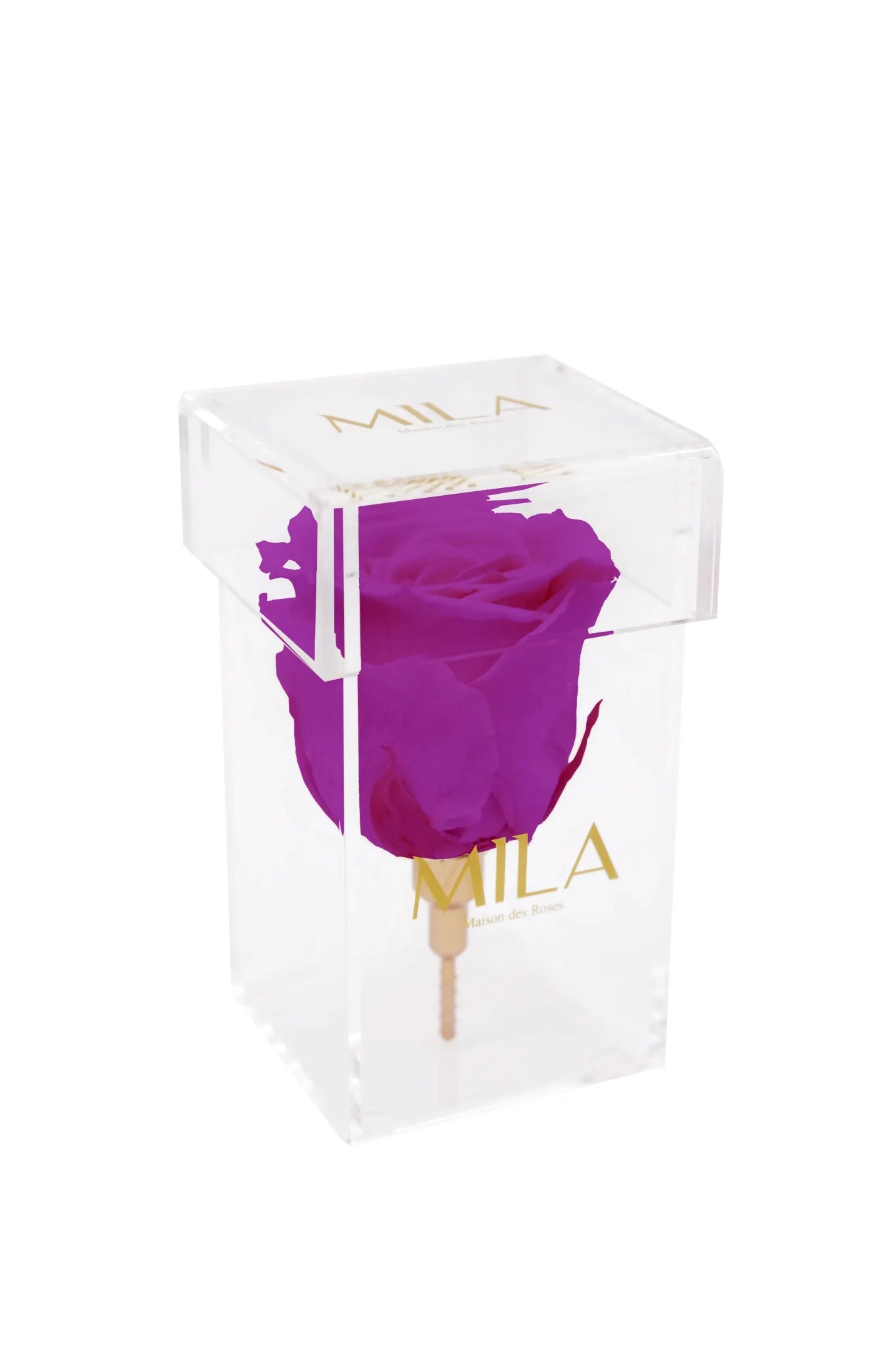 Mila Acrylic Single Stem - Mila Rose