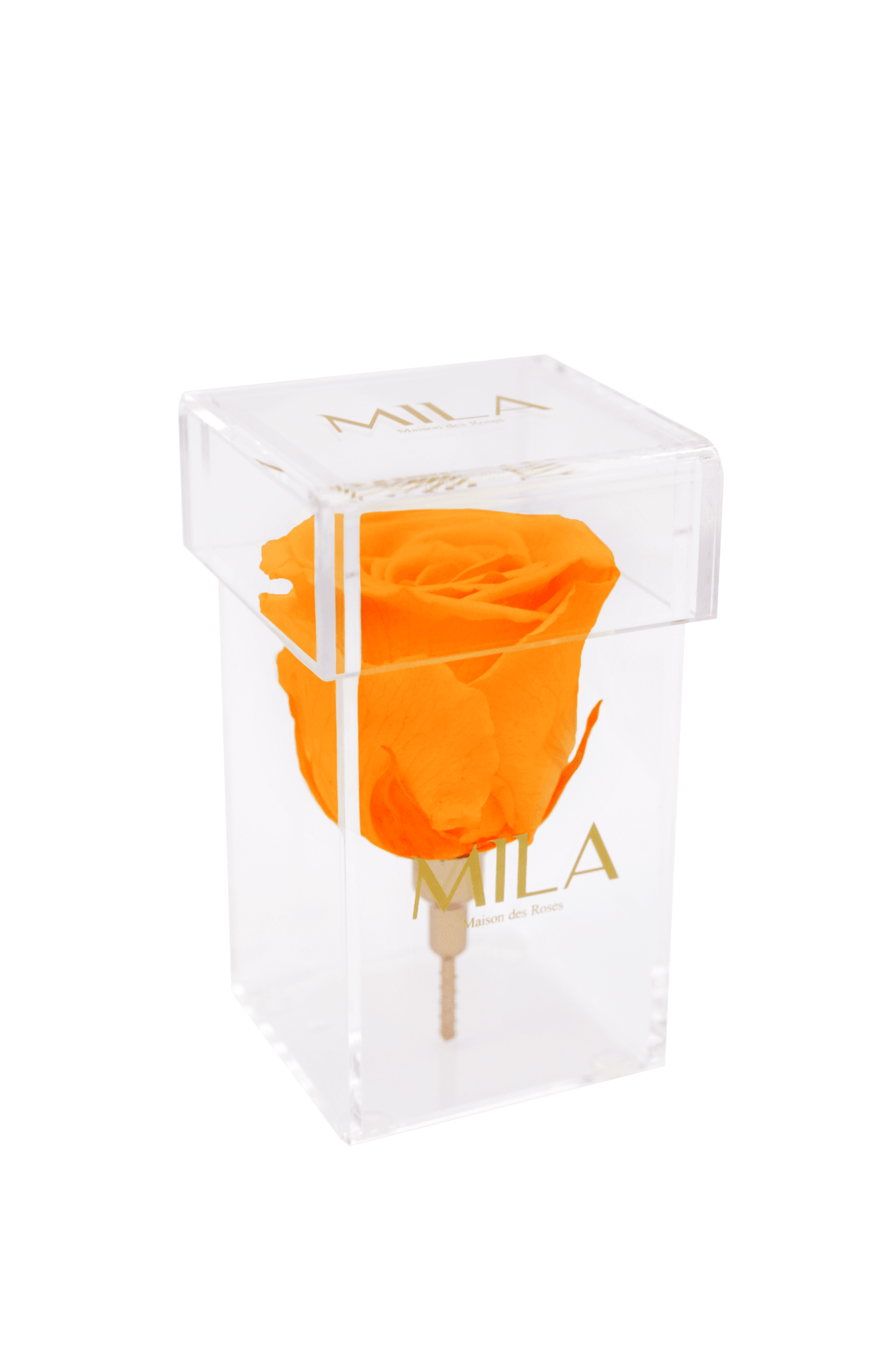 Mila Acrylic Single Stem - Mila Rose