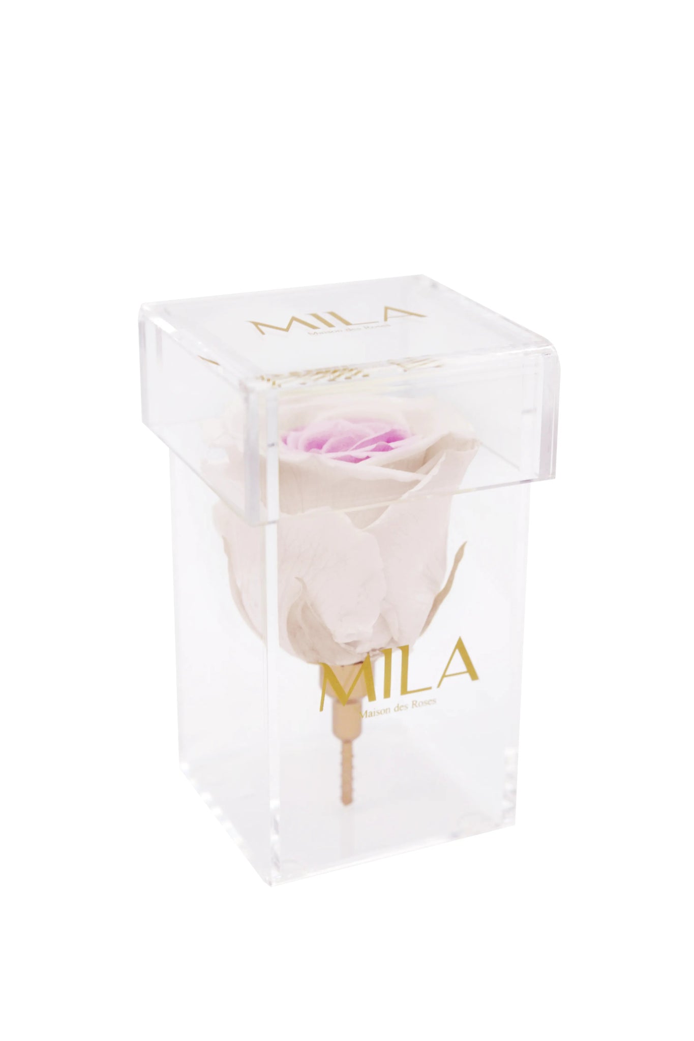 Mila Acrylic Single Stem - Mila Rose