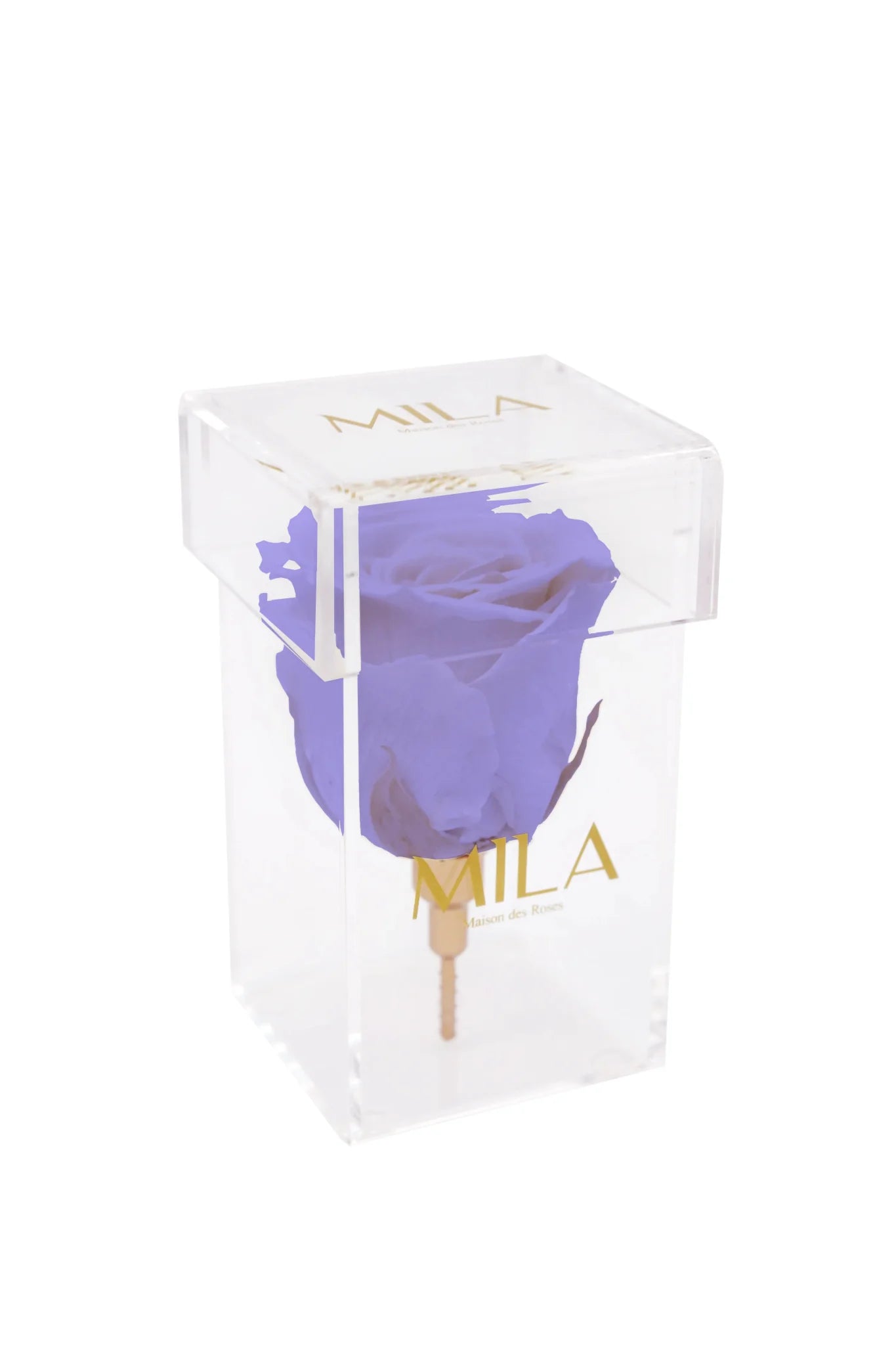 Mila Acrylic Single Stem - Mila Rose