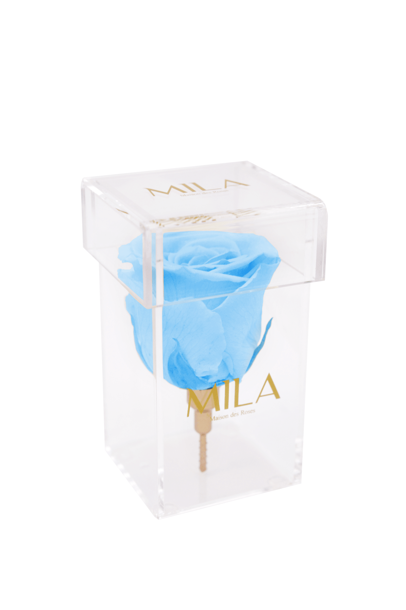 Mila Acrylic Single Stem - Mila Rose
