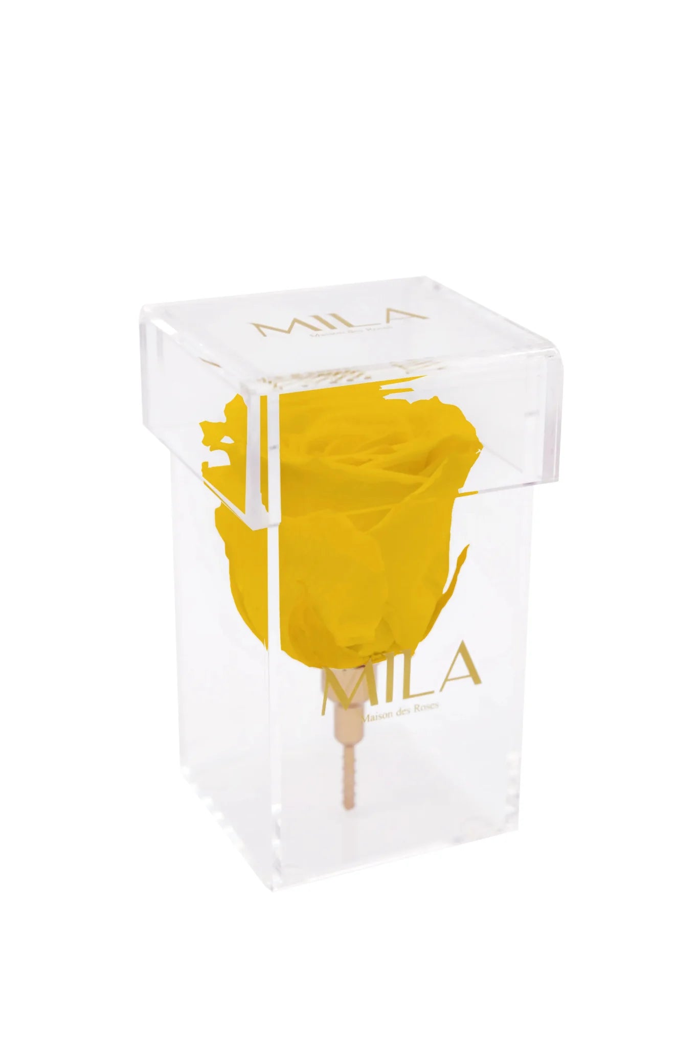 Mila Acrylic Single Stem - Mila Rose