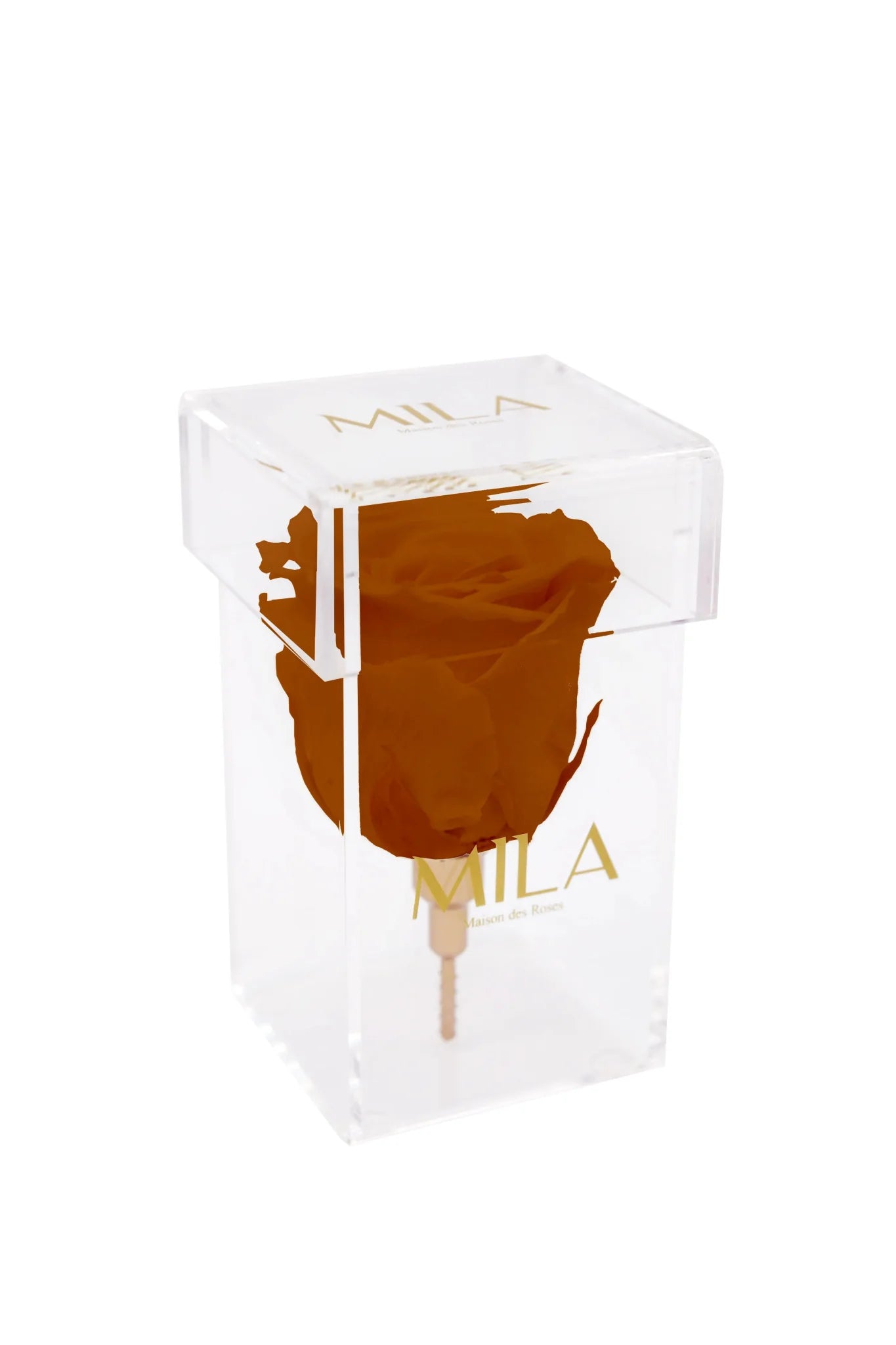 Mila Acrylic Single Stem - Mila Rose