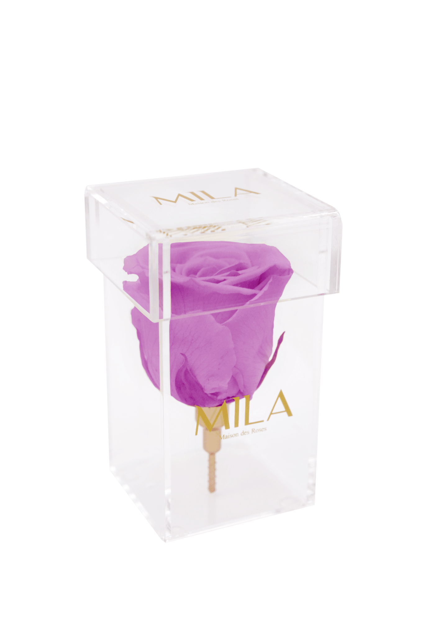 Mila Acrylic Single Stem - Mila Rose