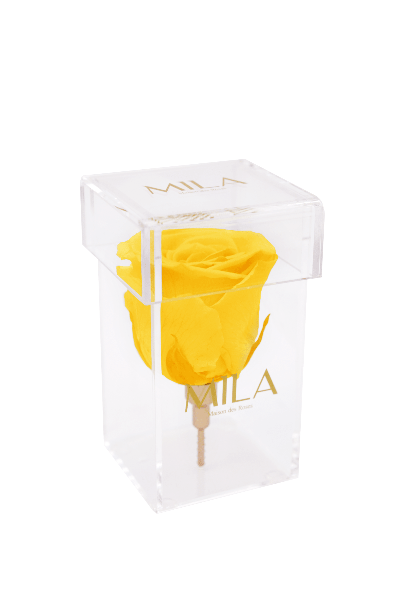 Mila Acrylic Single Stem - Mila Rose