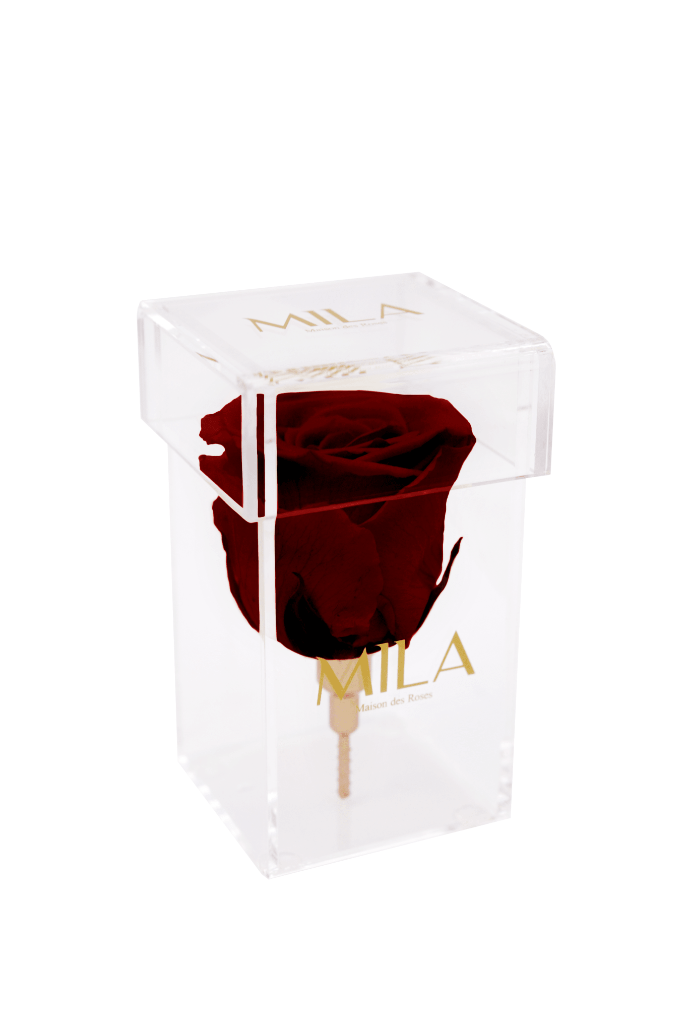 Mila Acrylic Single Stem - Mila Rose
