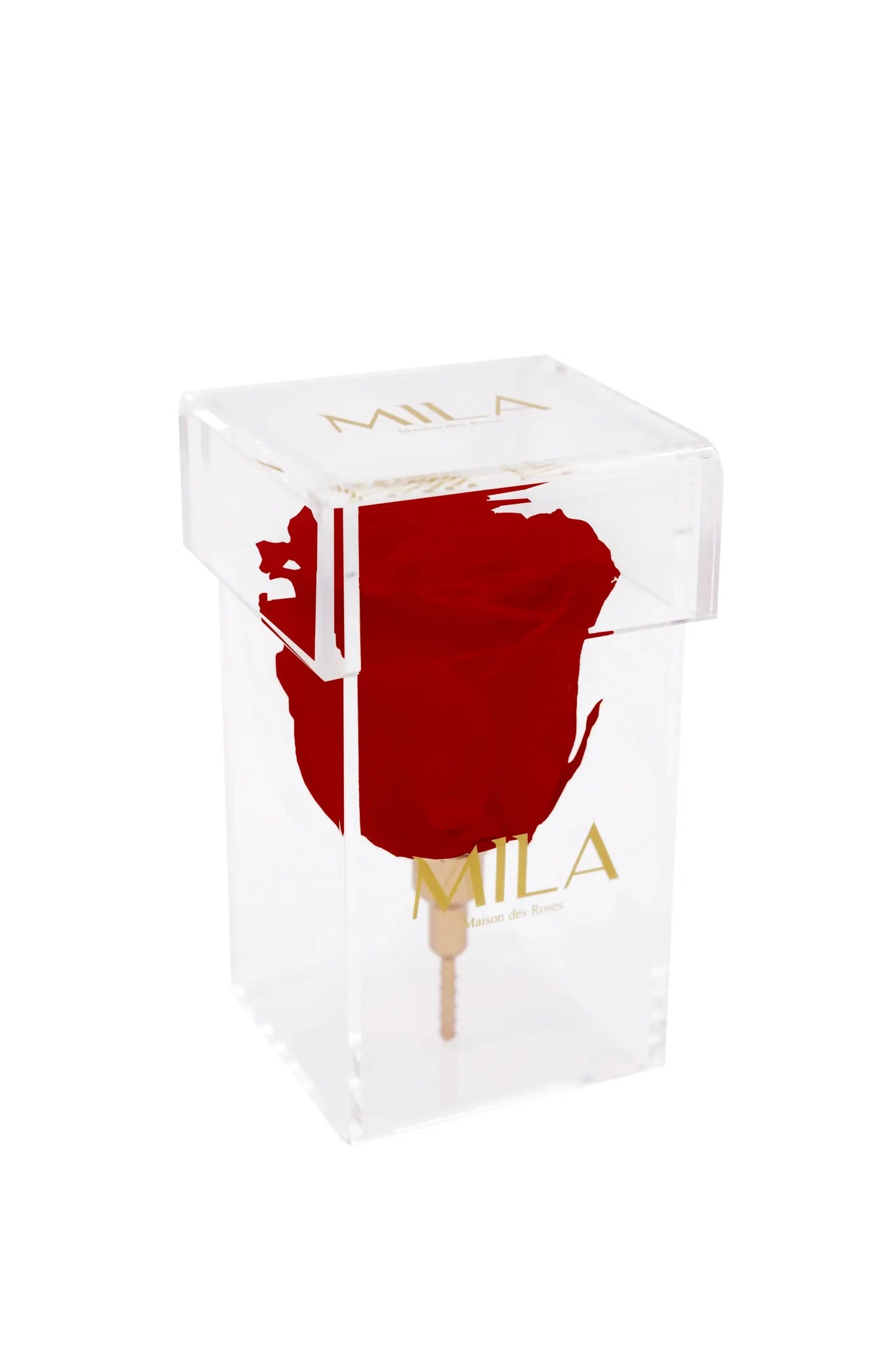 Mila Acrylic Single Stem - Mila Rose