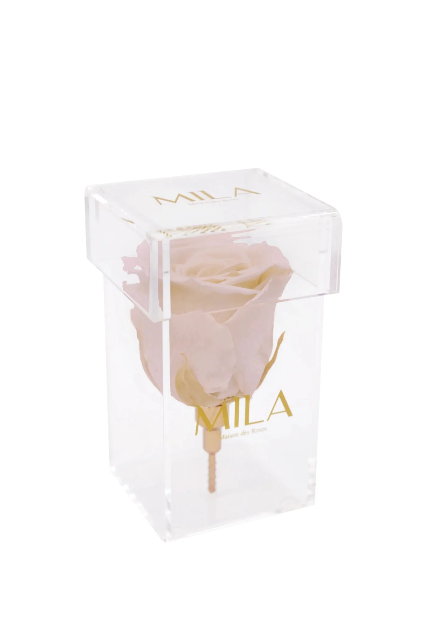 Mila Acrylic Single Stem - Mila Rose