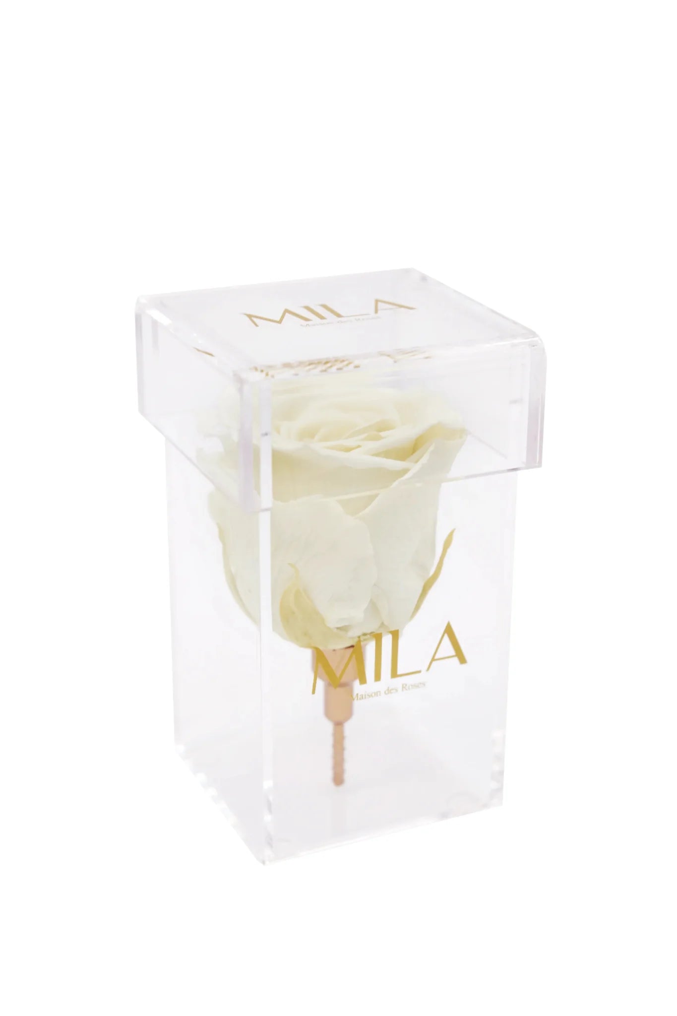 Mila Acrylic Single Stem - Mila Rose