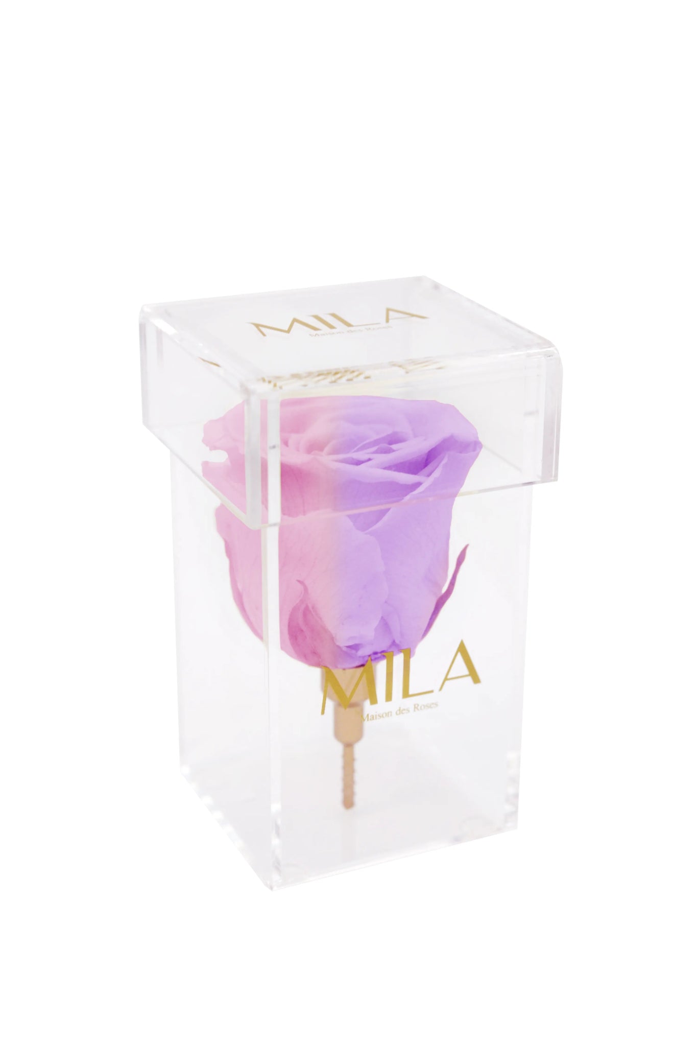 Mila Acrylic Single Stem - Mila Rose