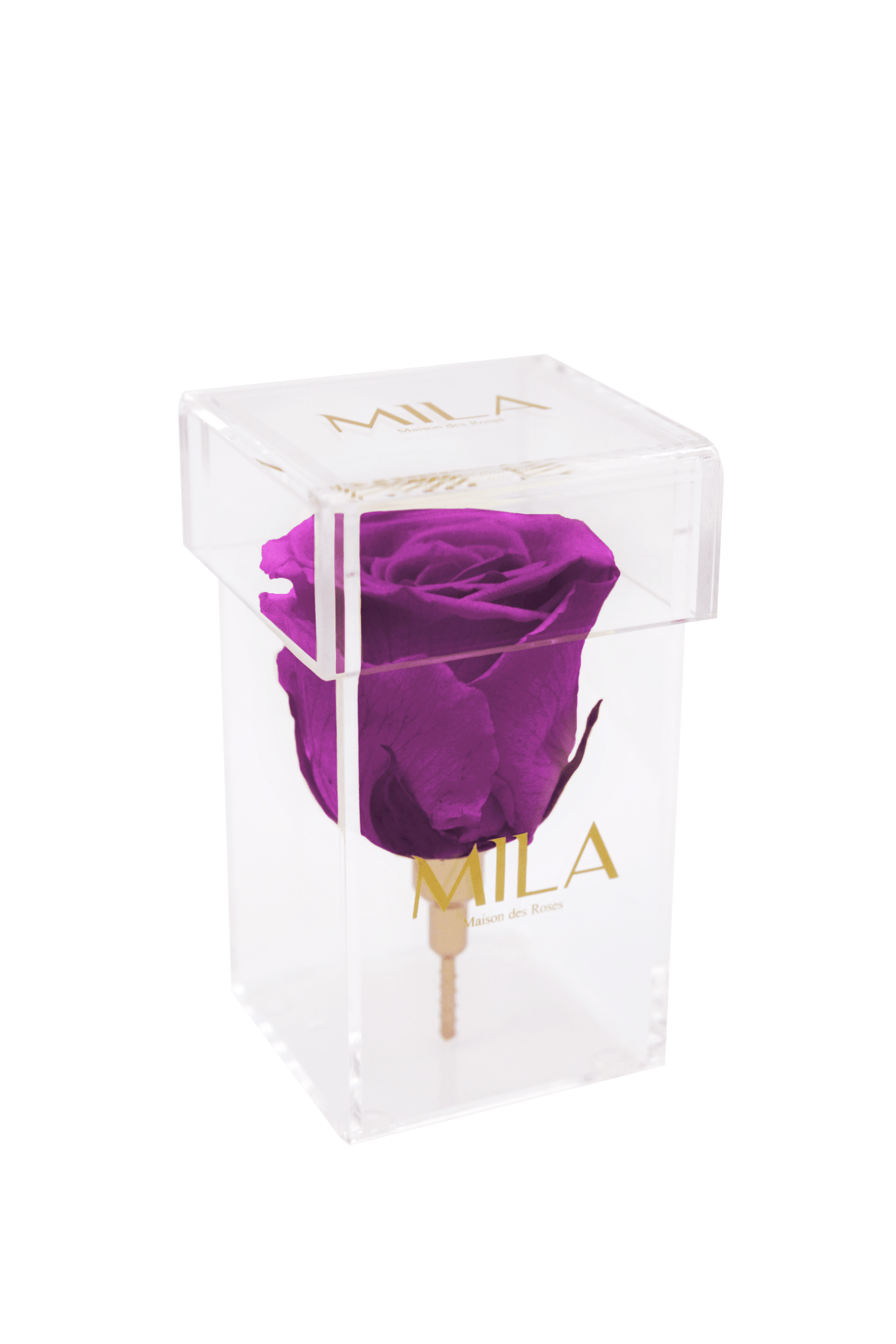 Mila Acrylic Single Stem - Mila Rose