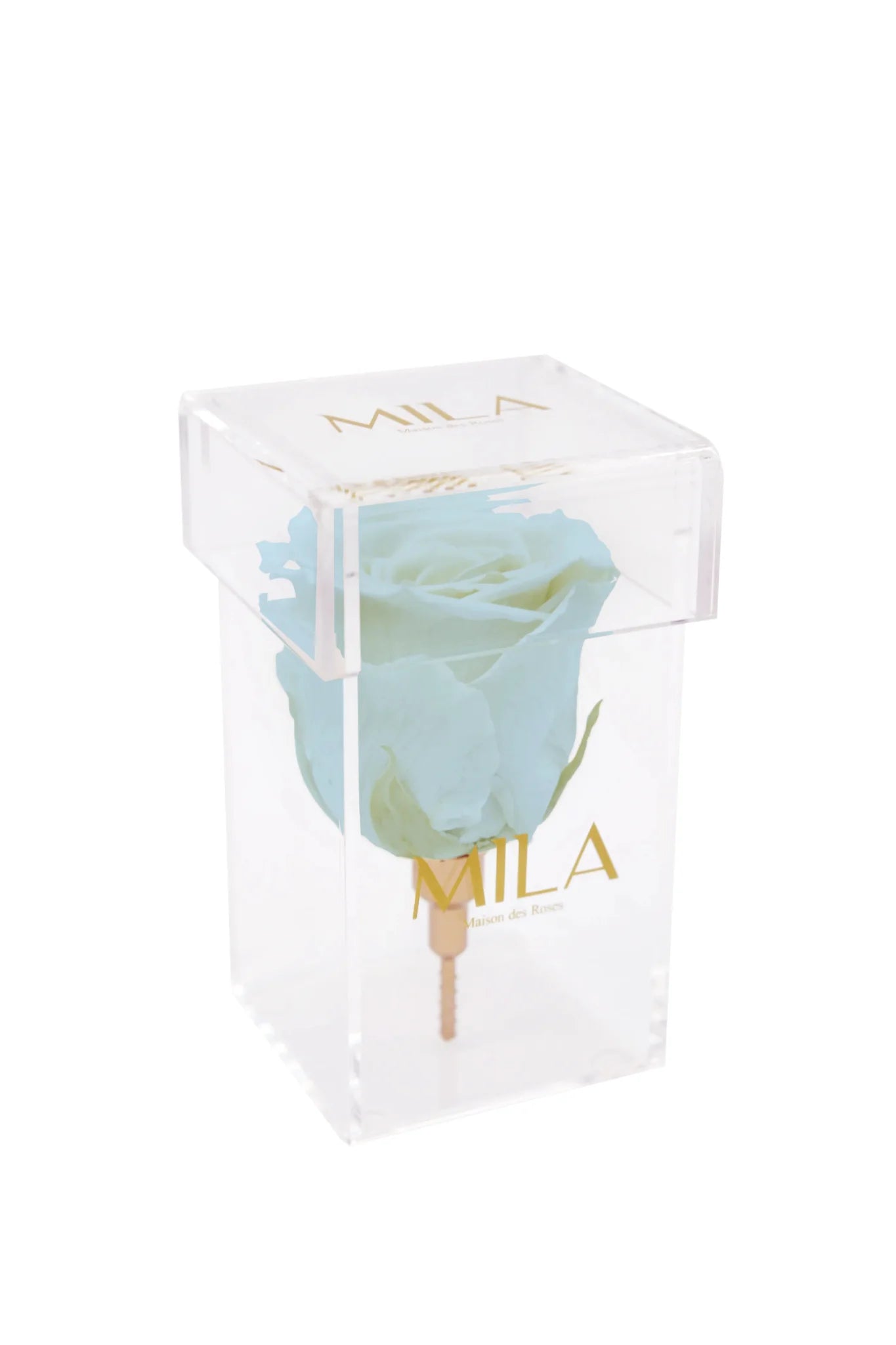 Mila Acrylic Single Stem - Mila Rose