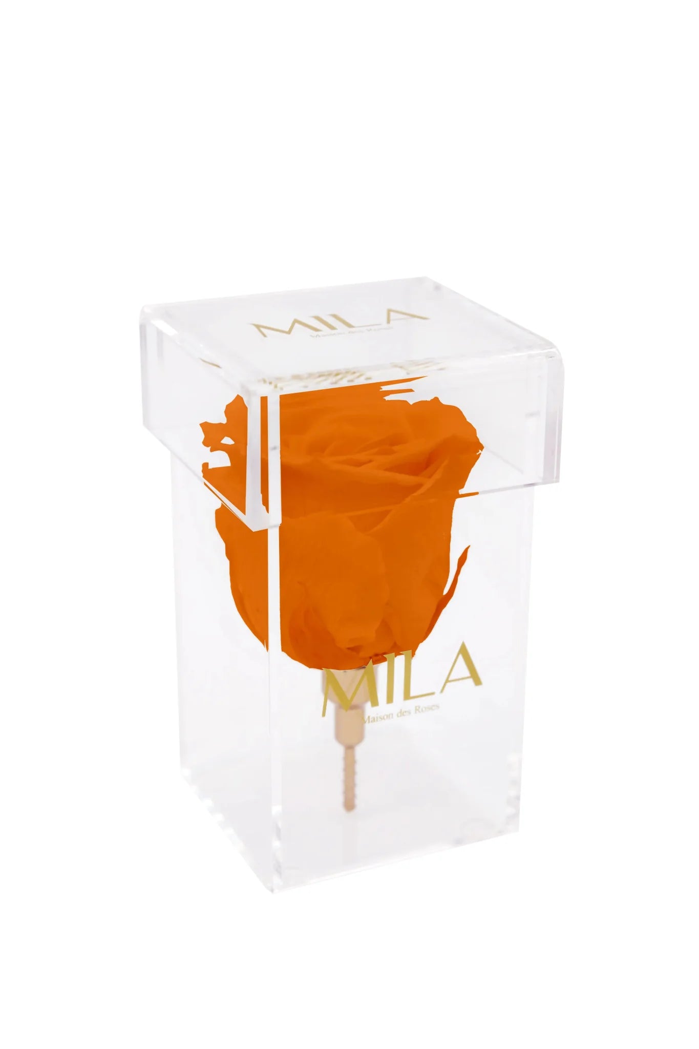 Mila Acrylic Single Stem - Mila Rose