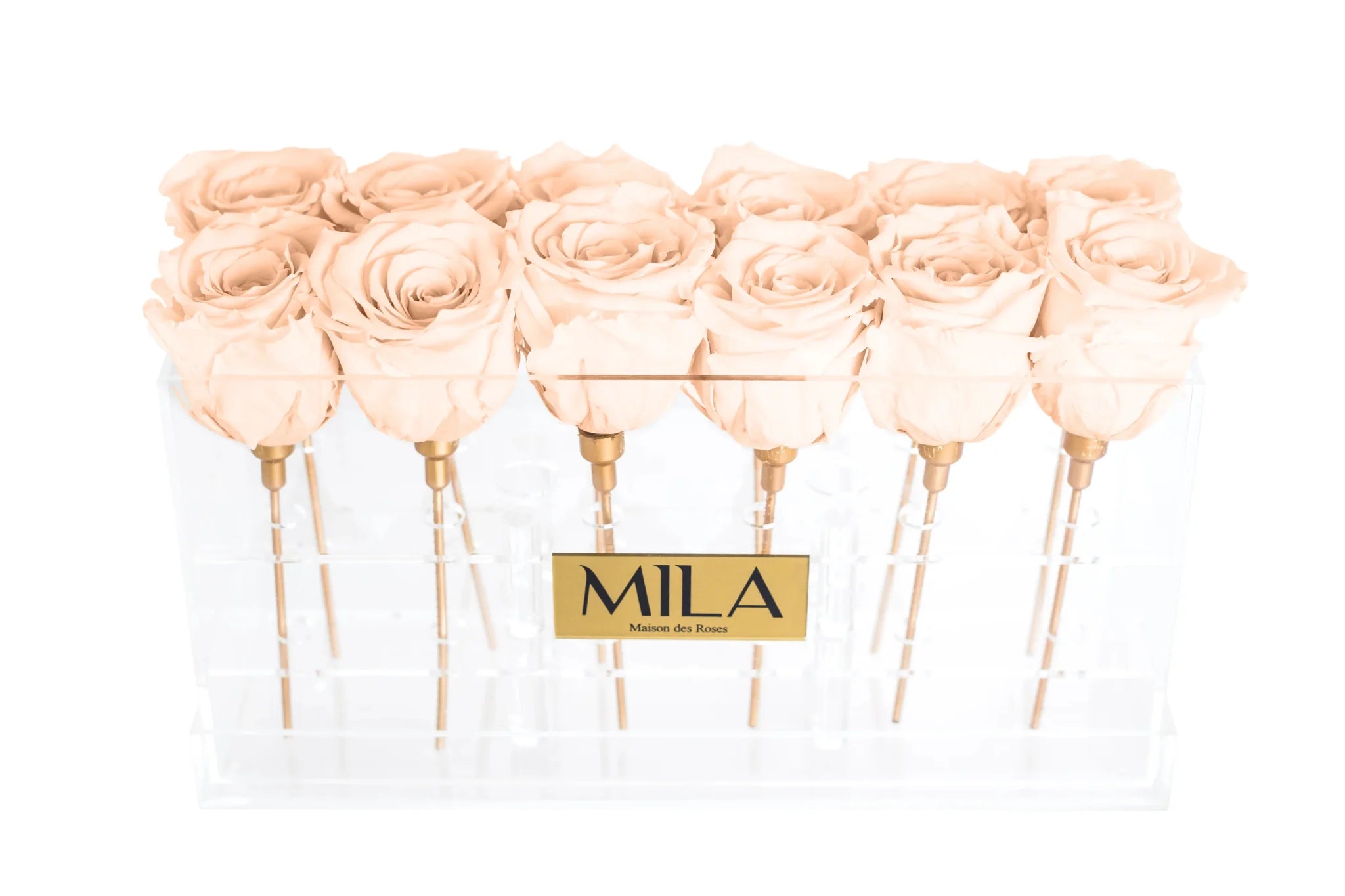 Mila Acrylic Table - Mila Rose