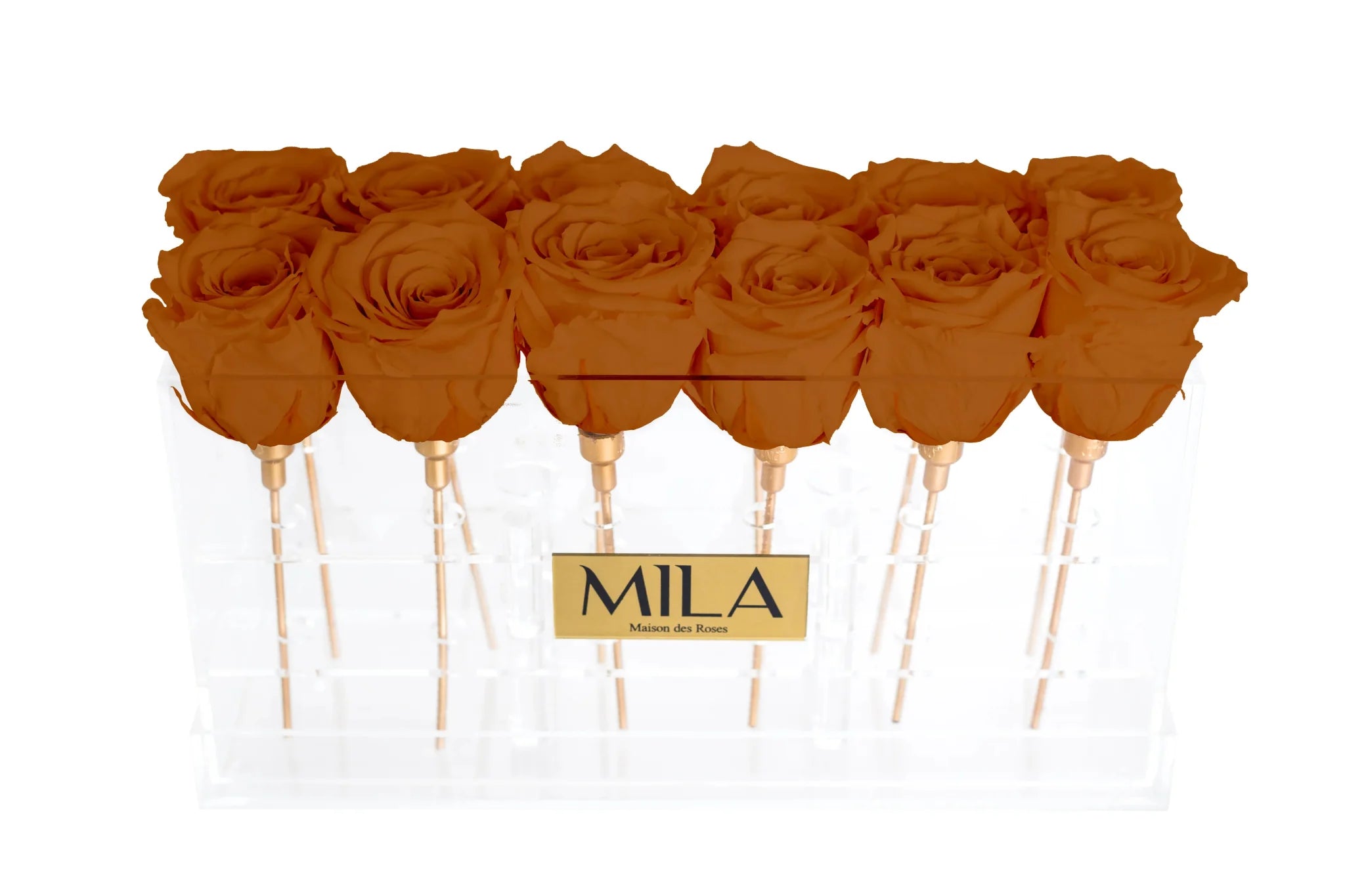 Mila Acrylic Table - Mila Rose