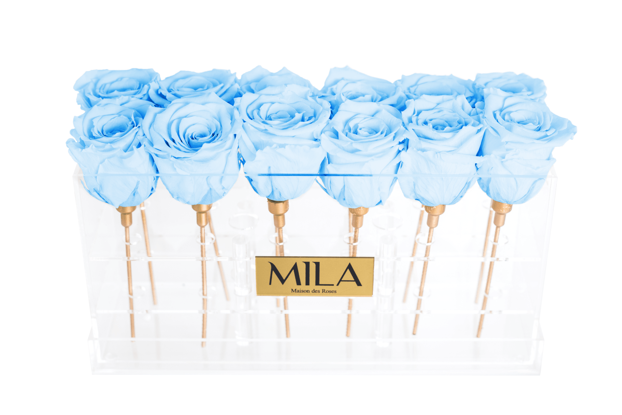 Mila Acrylic Table - Mila Rose