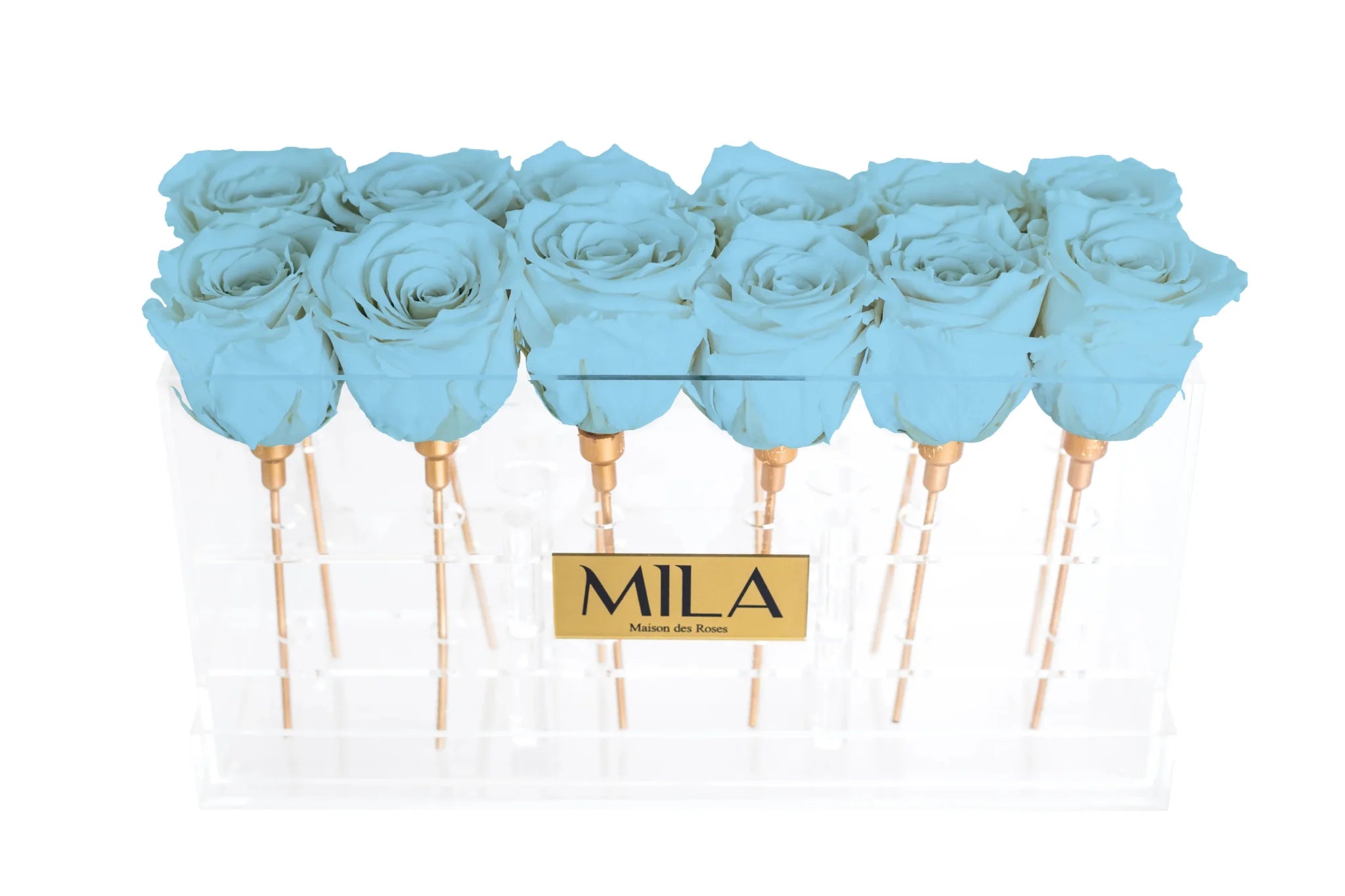 Mila Acrylic Table - Mila Rose