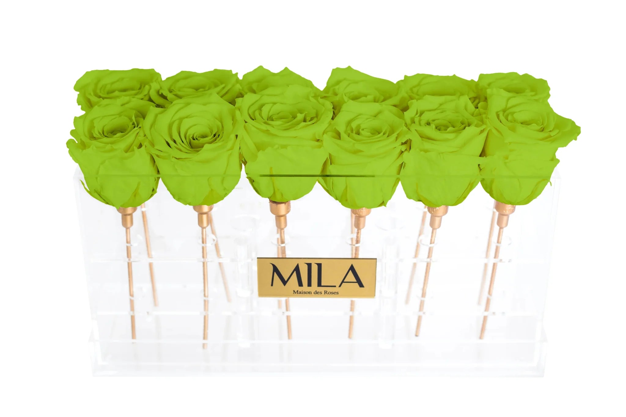 Mila Acrylic Table - Mila Rose