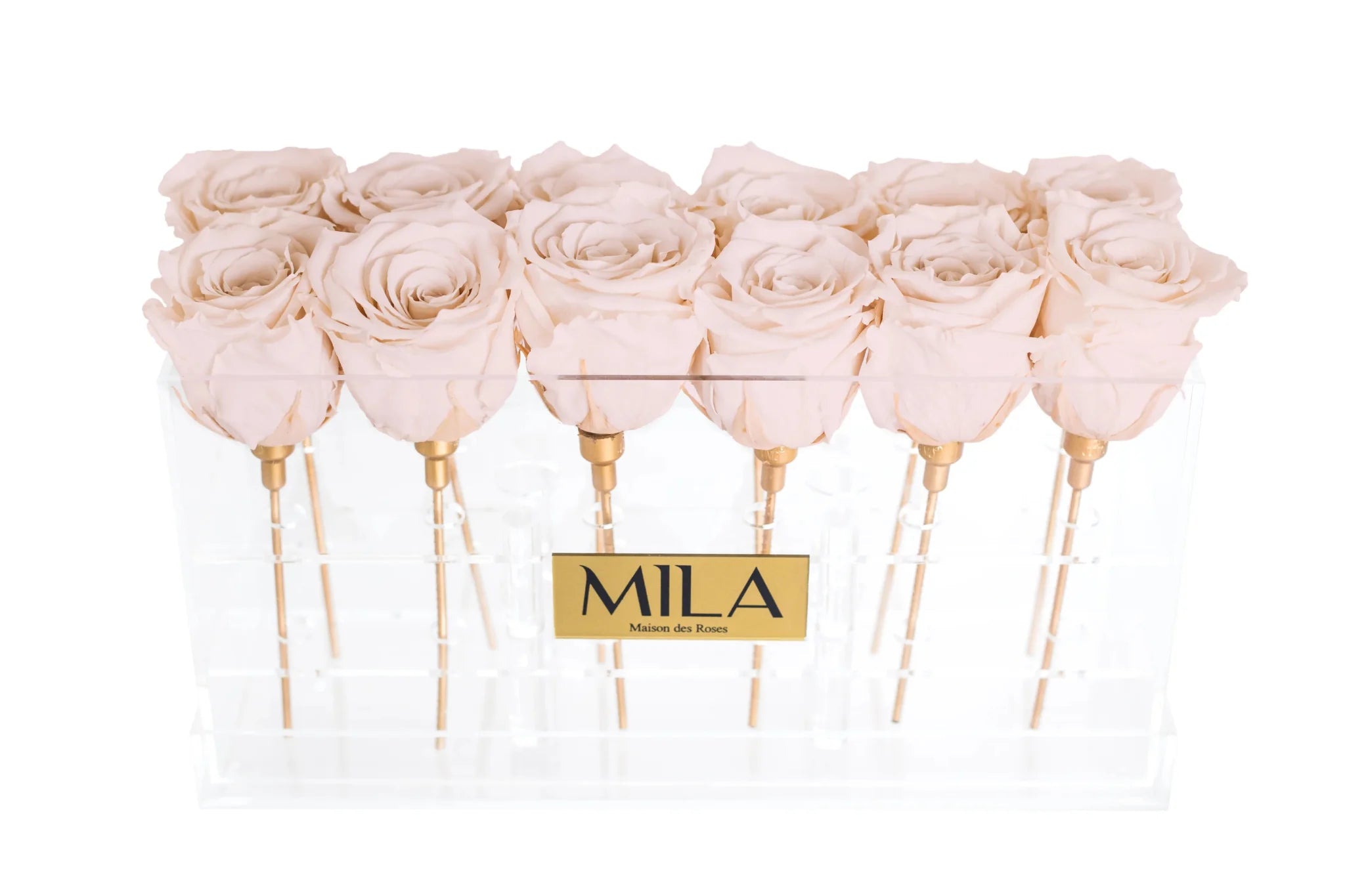Mila Acrylic Table - Mila Rose
