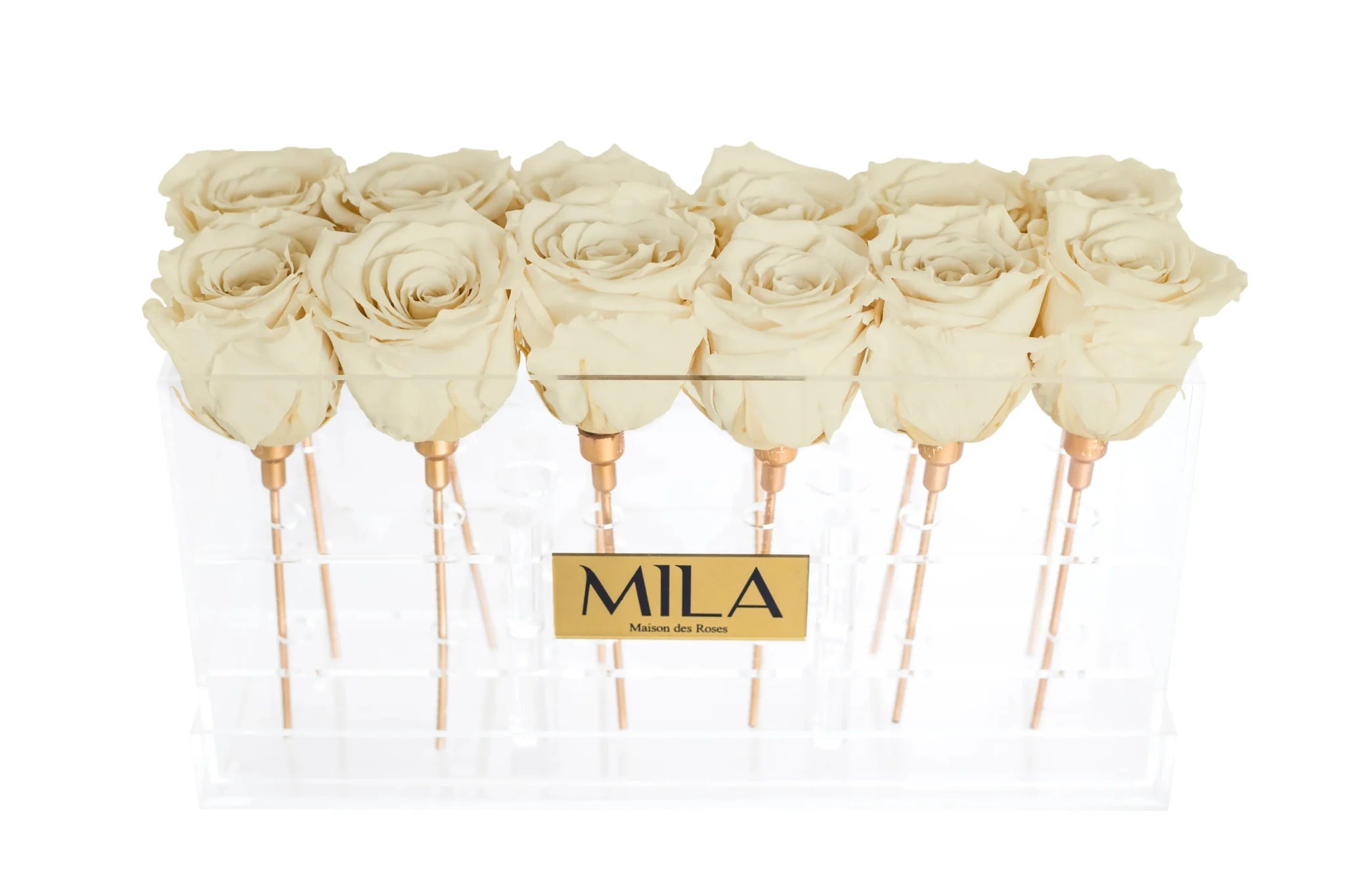 Mila Acrylic Table - Mila Rose