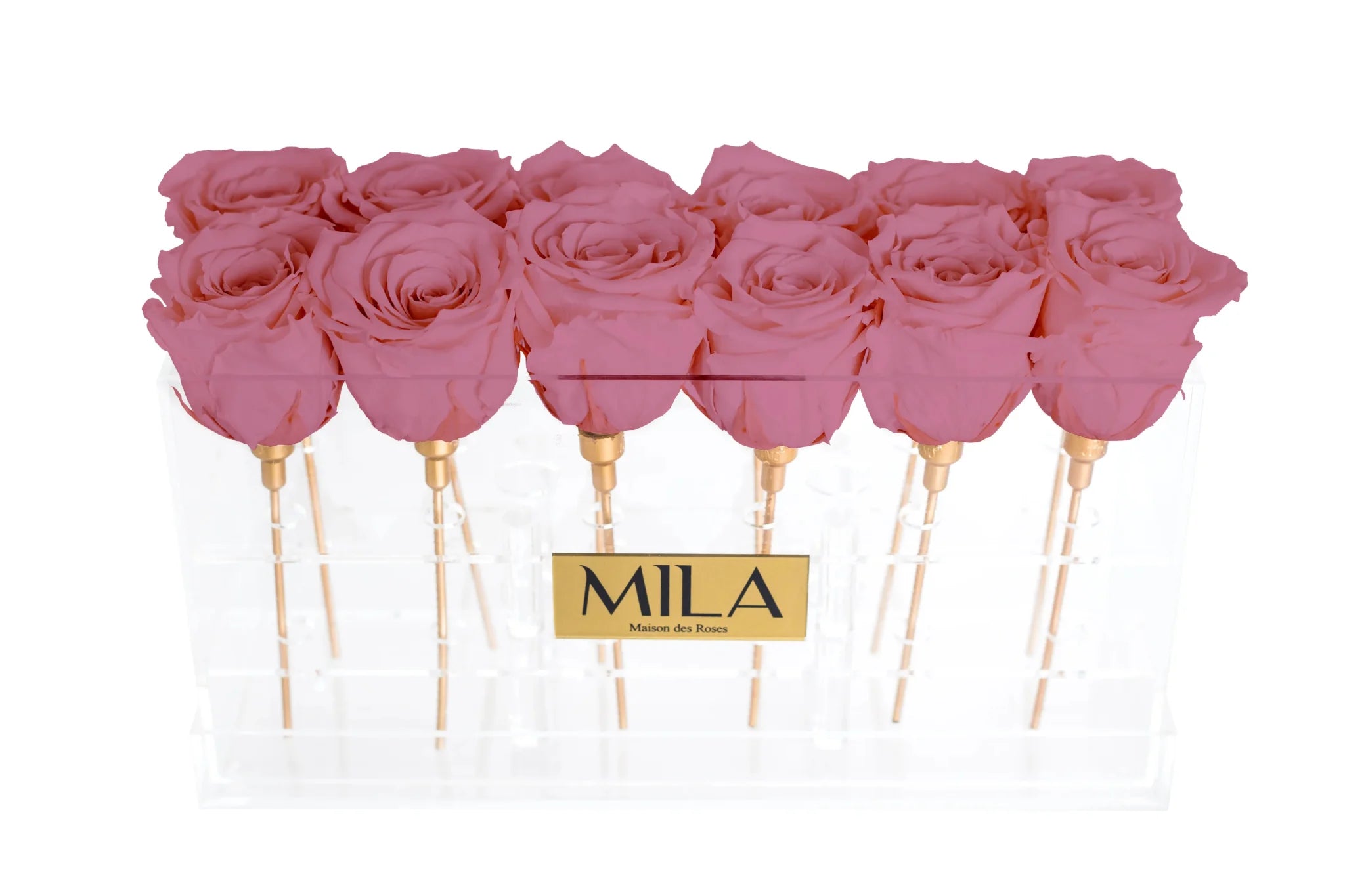 Mila Acrylic Table - Mila Rose