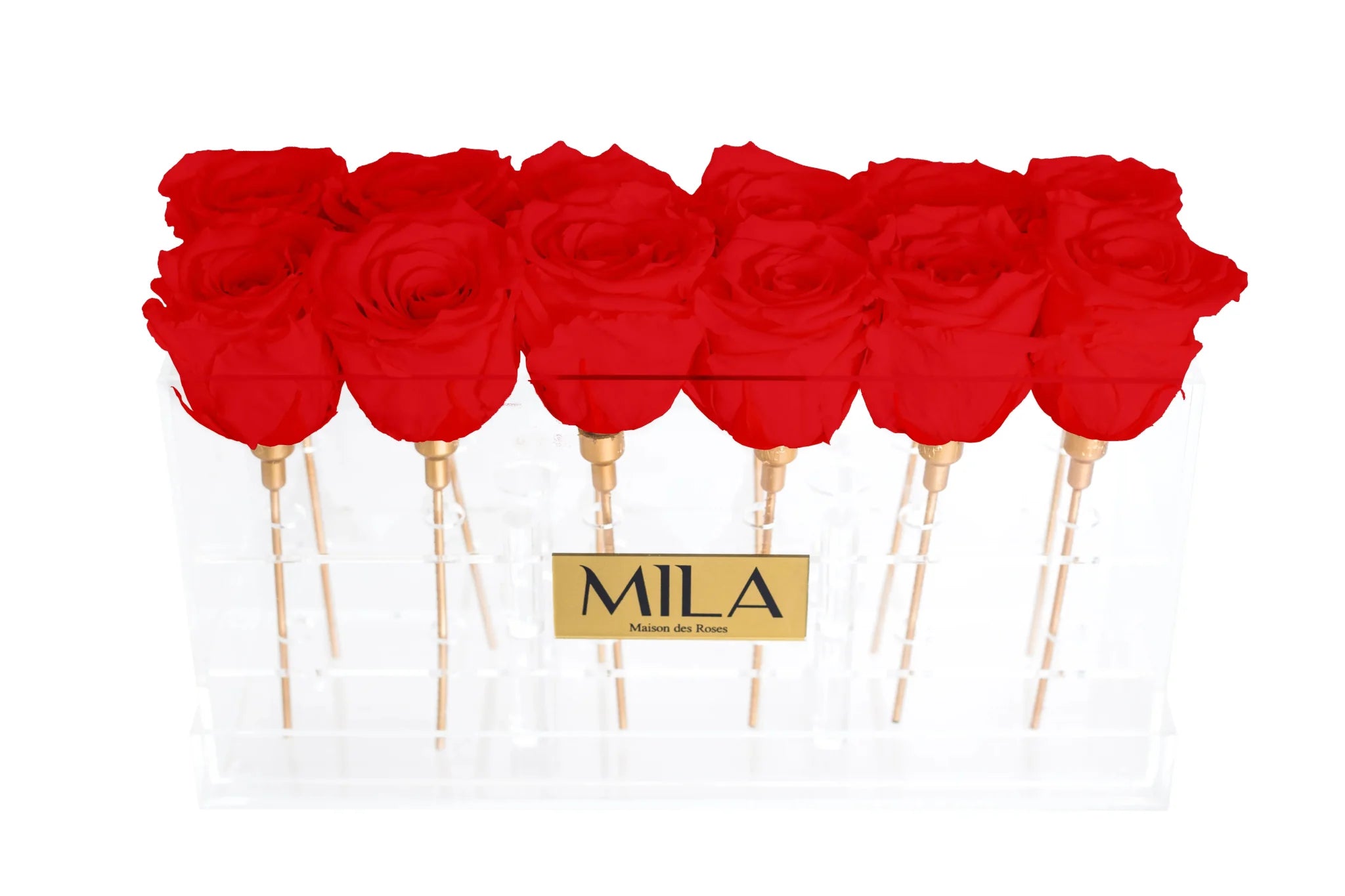 Mila Acrylic Table - Mila Rose