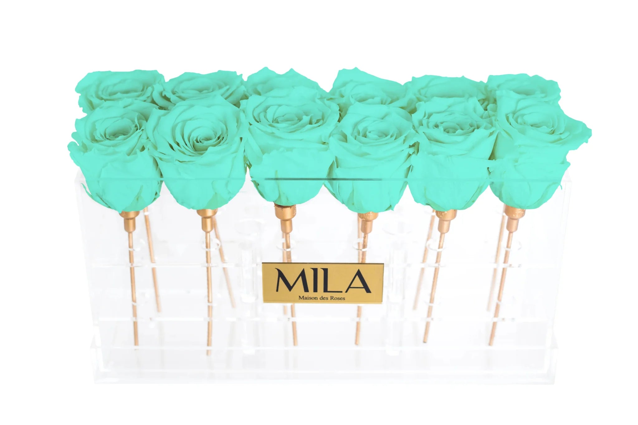 Mila Acrylic Table - Mila Rose