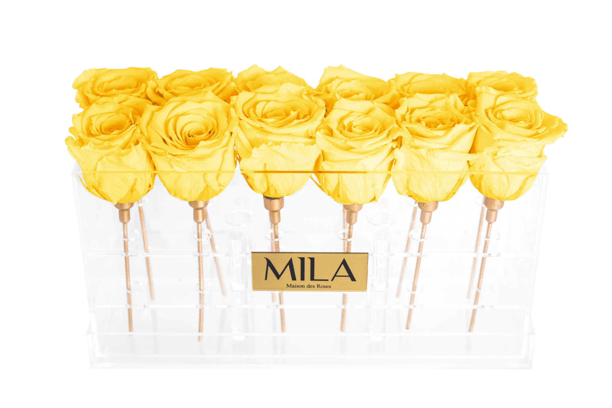 Mila Acrylic Table - Mila Rose