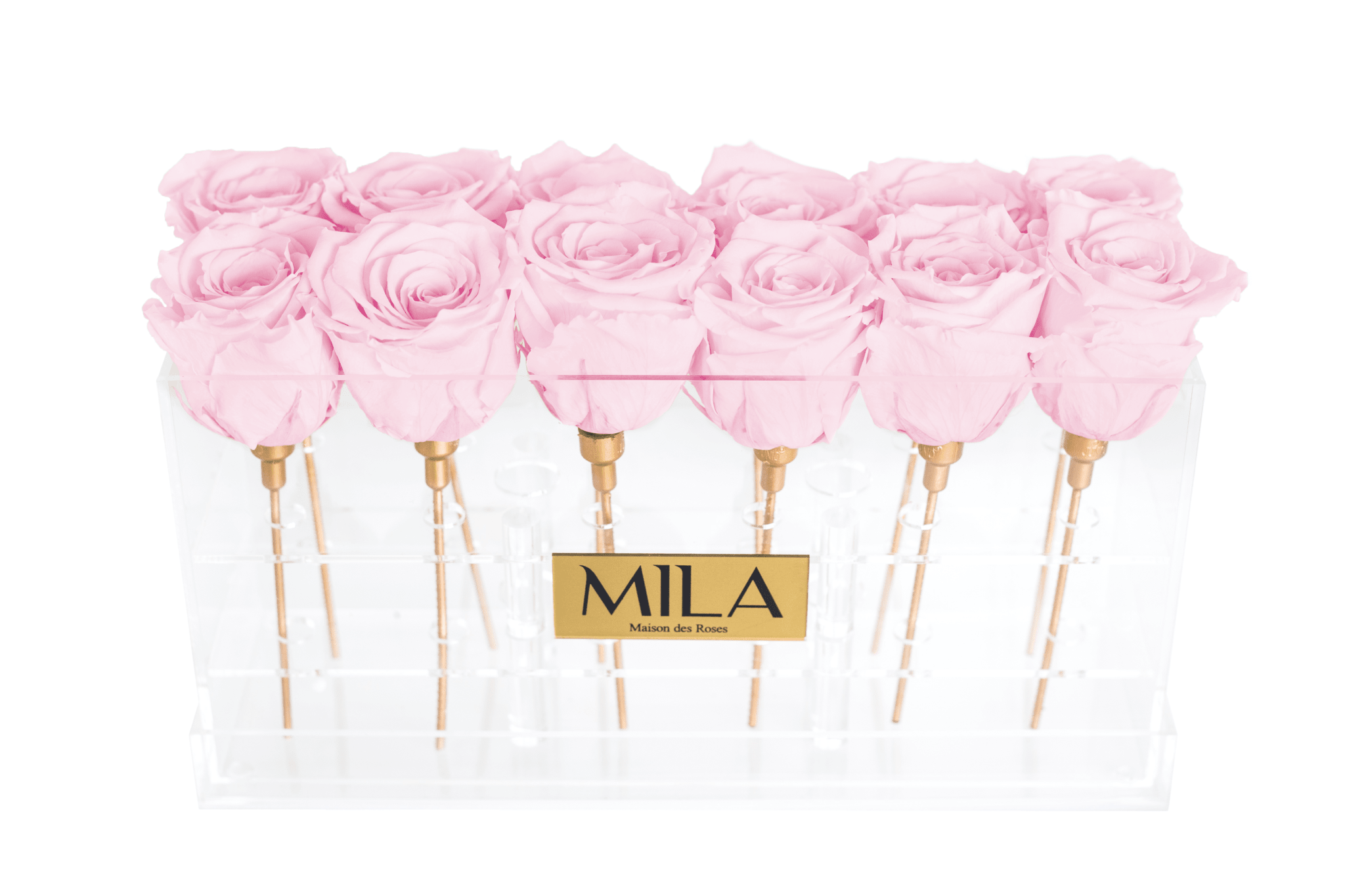 Mila Acrylic Table - Mila Rose