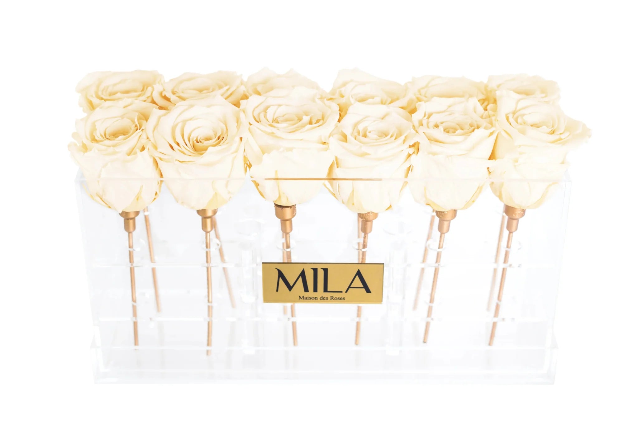 Mila Acrylic Table - Mila Rose