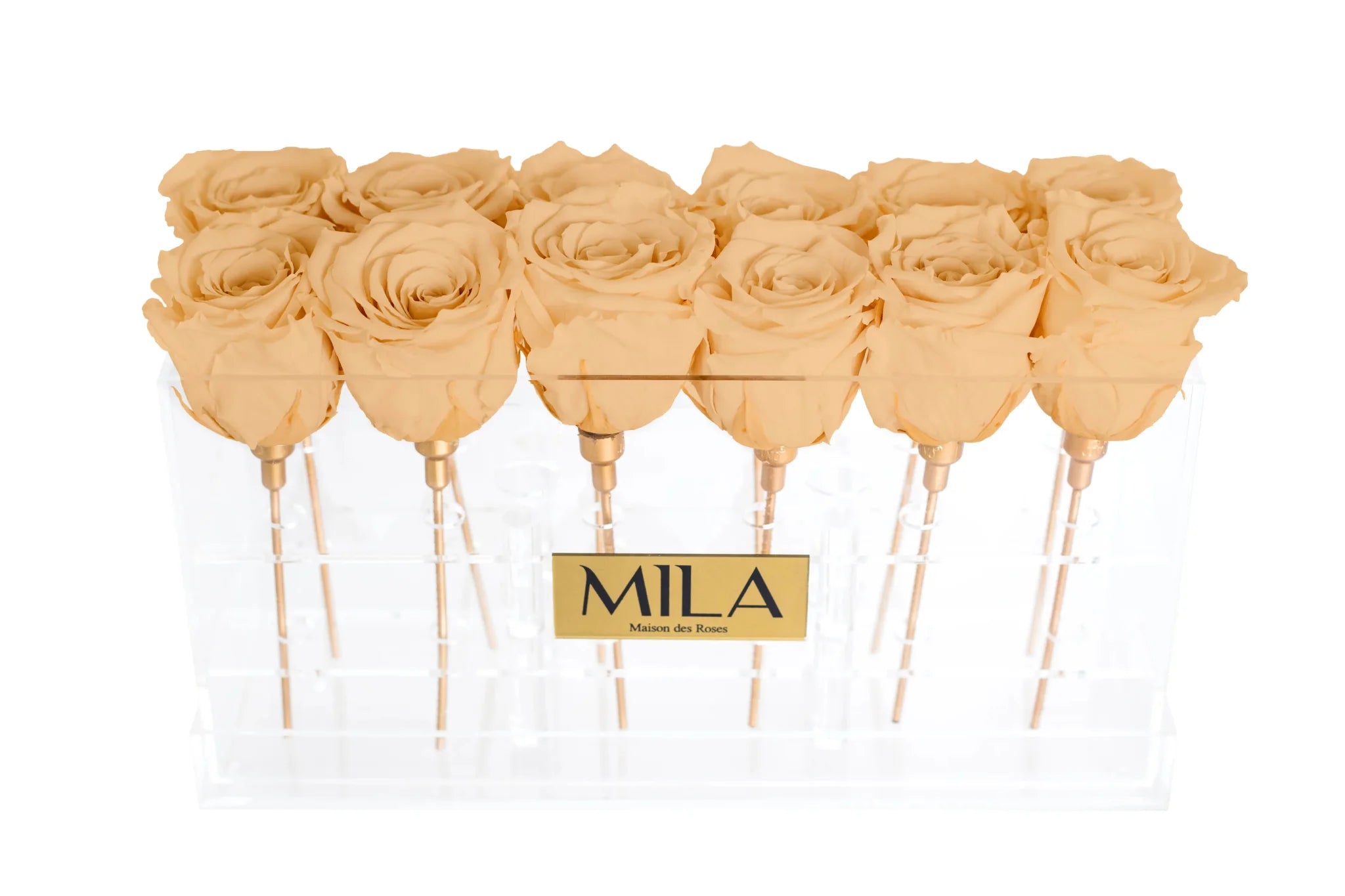 Mila Acrylic Table - Mila Rose