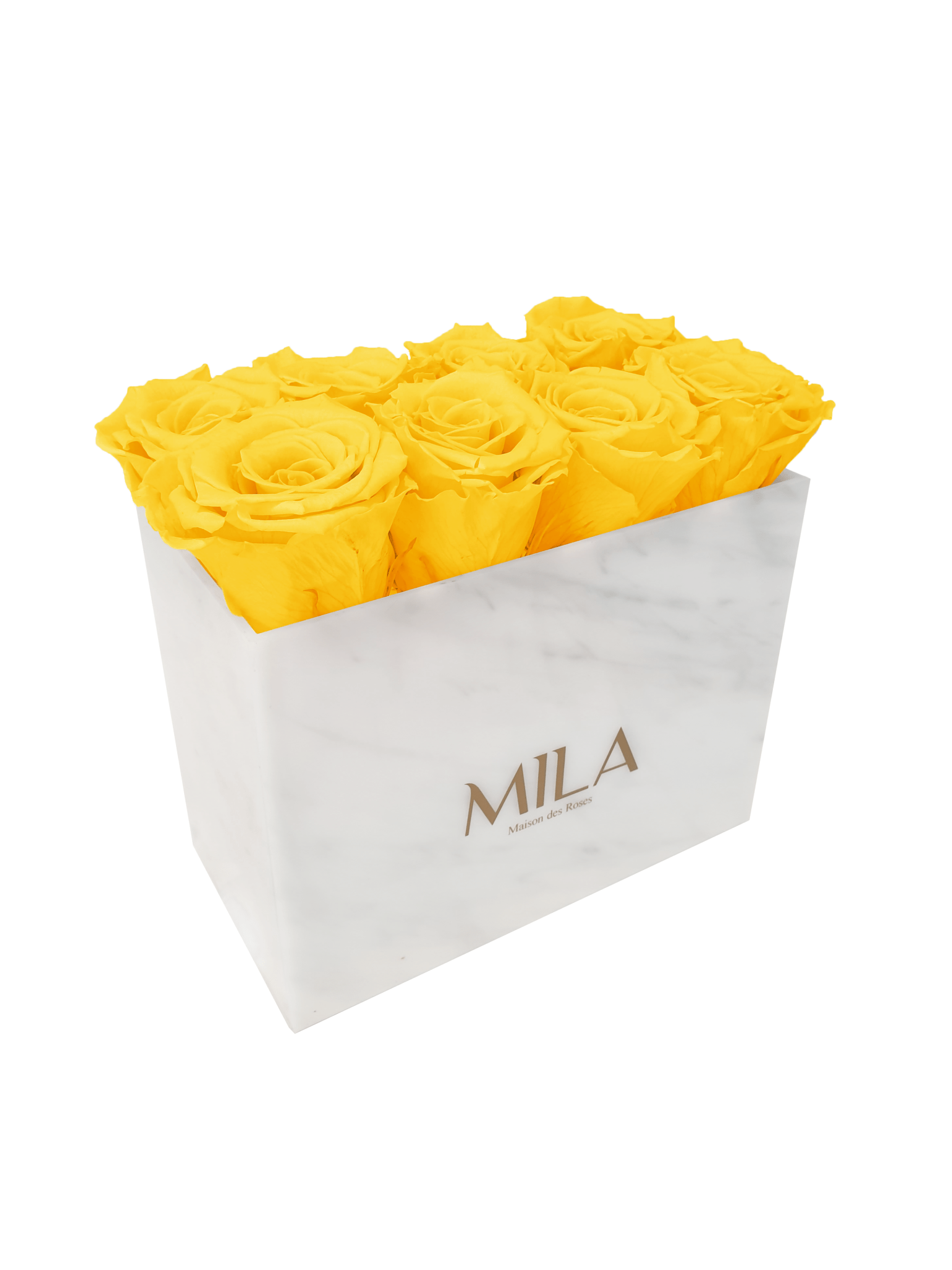 Mila Acrylic White Marble - Mila Rose