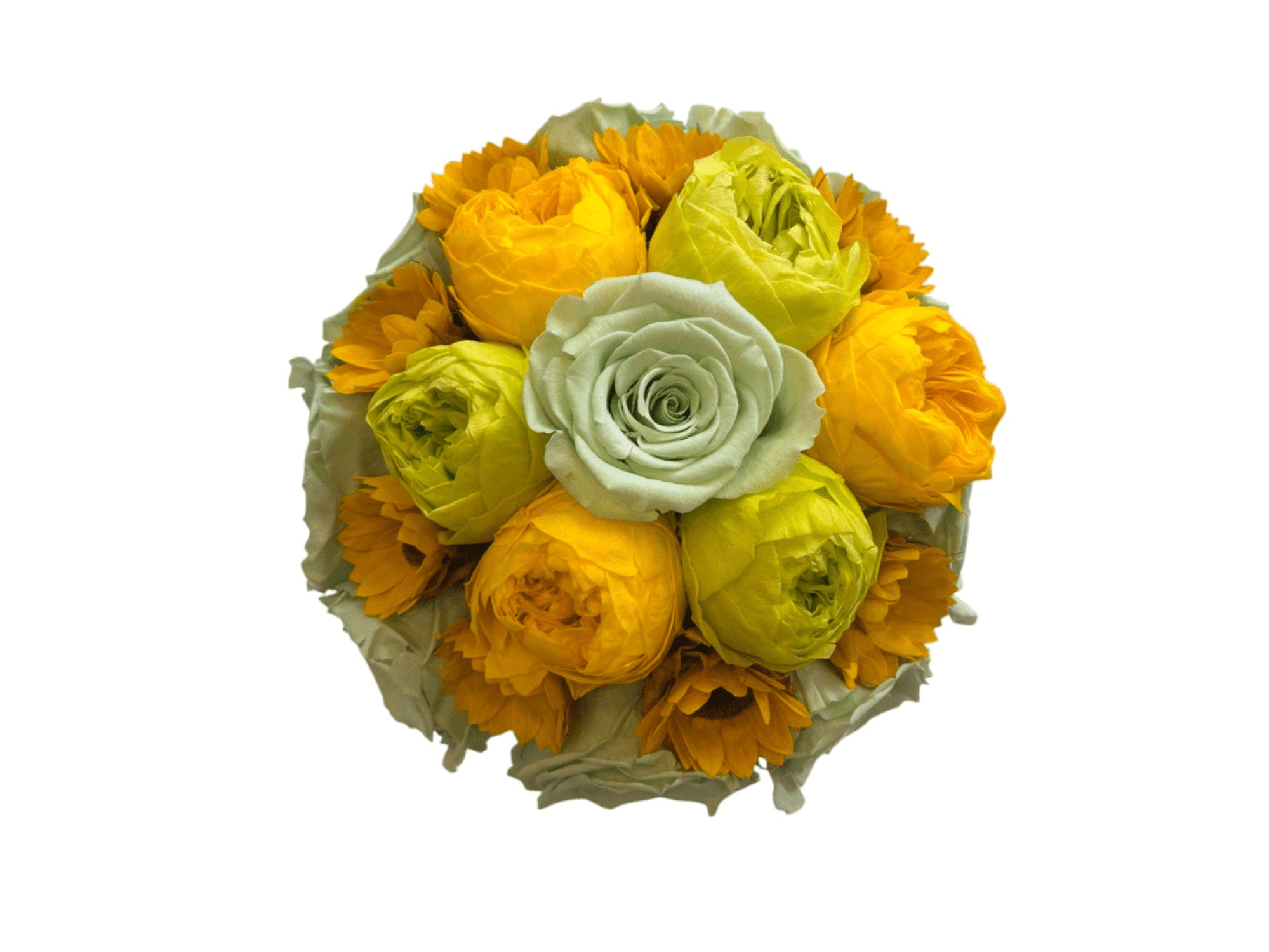 Mila Acrylic Yellow Dome - Mila Rose