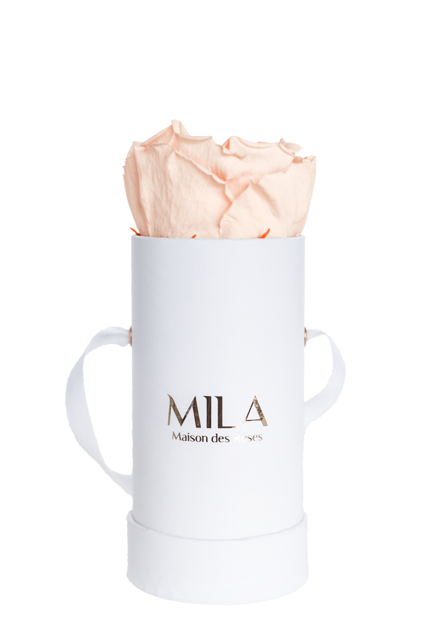 Mila Classique Baby - Mila Rose