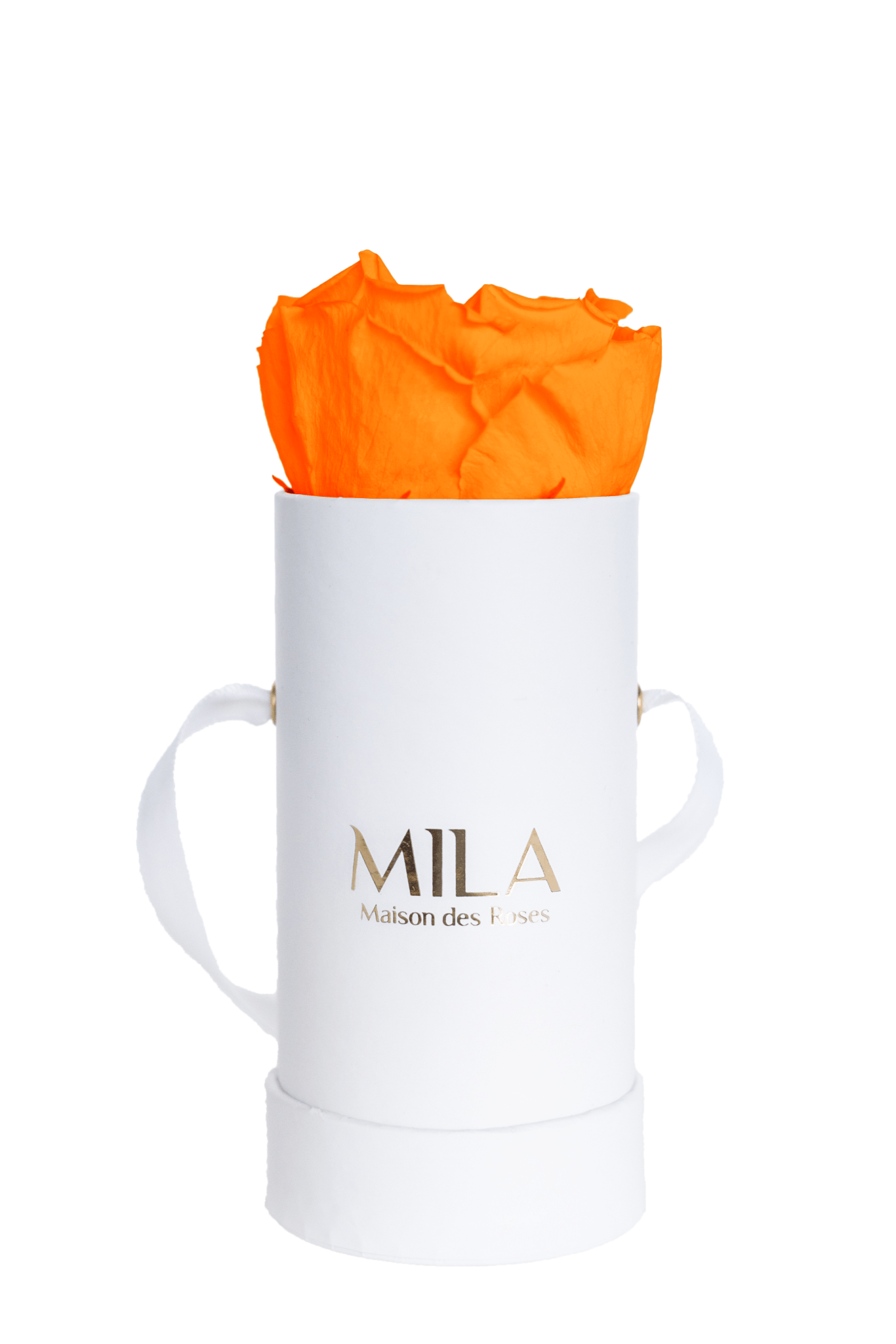 Mila Classique Baby - Mila Rose