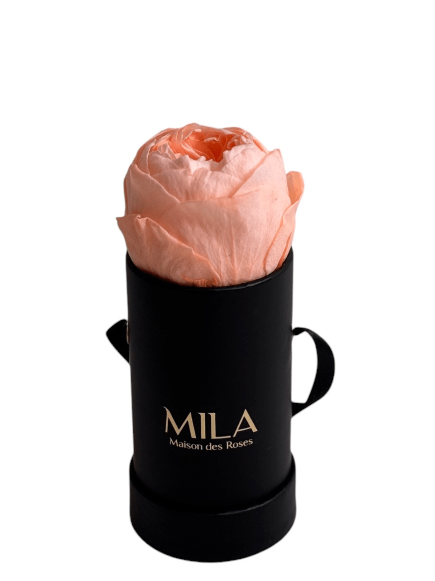 Mila Classique Baby - My Store