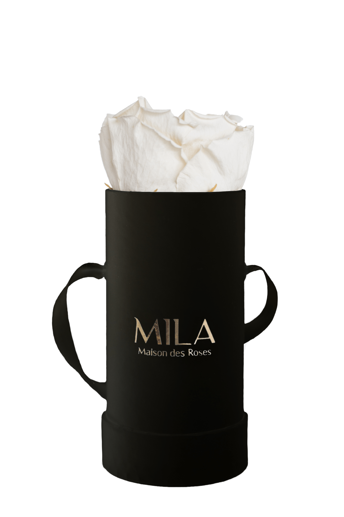 Mila Classique Baby - Mila Rose